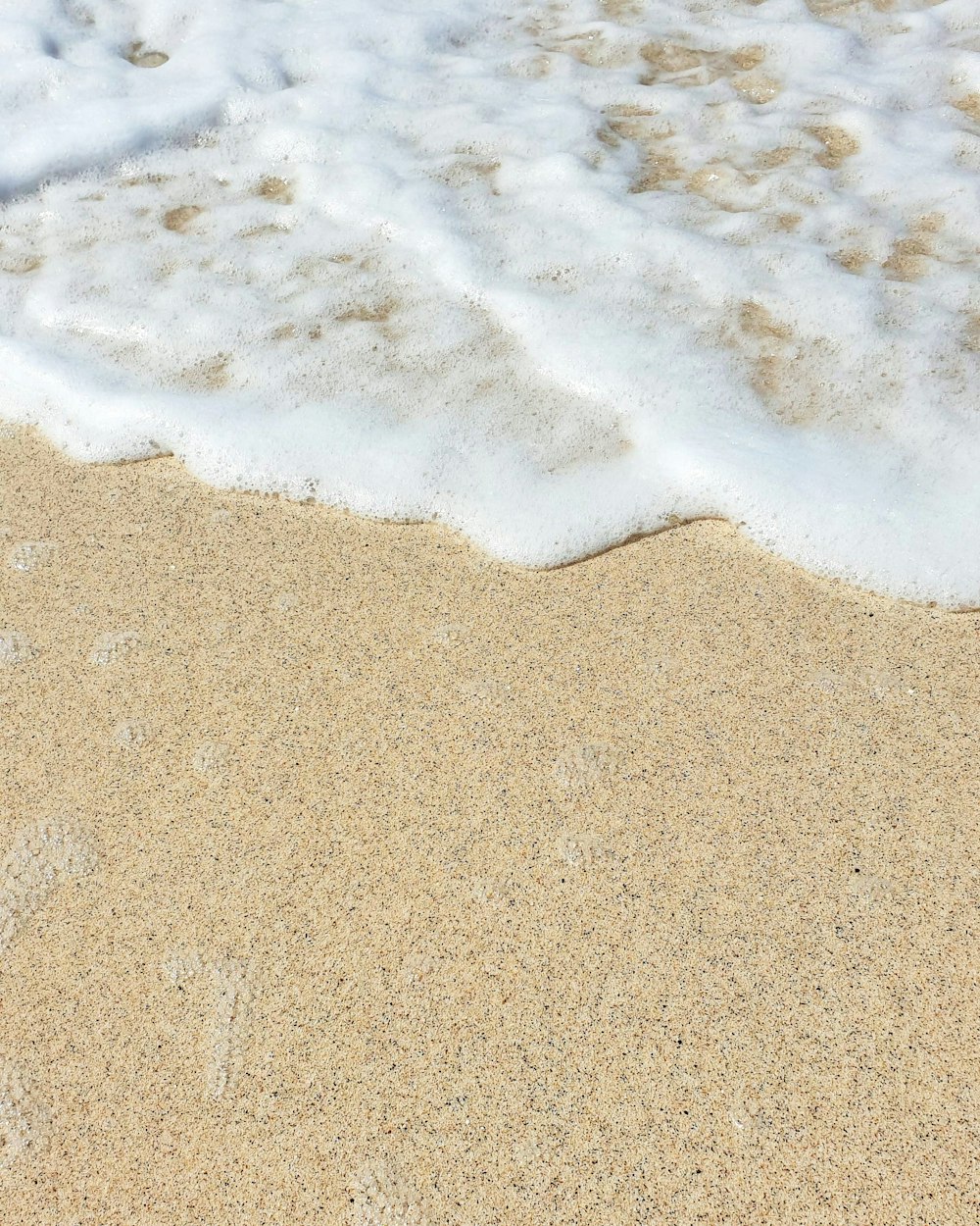 a close up of a beach