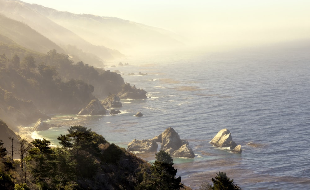 a body of water with rocks and trees around it