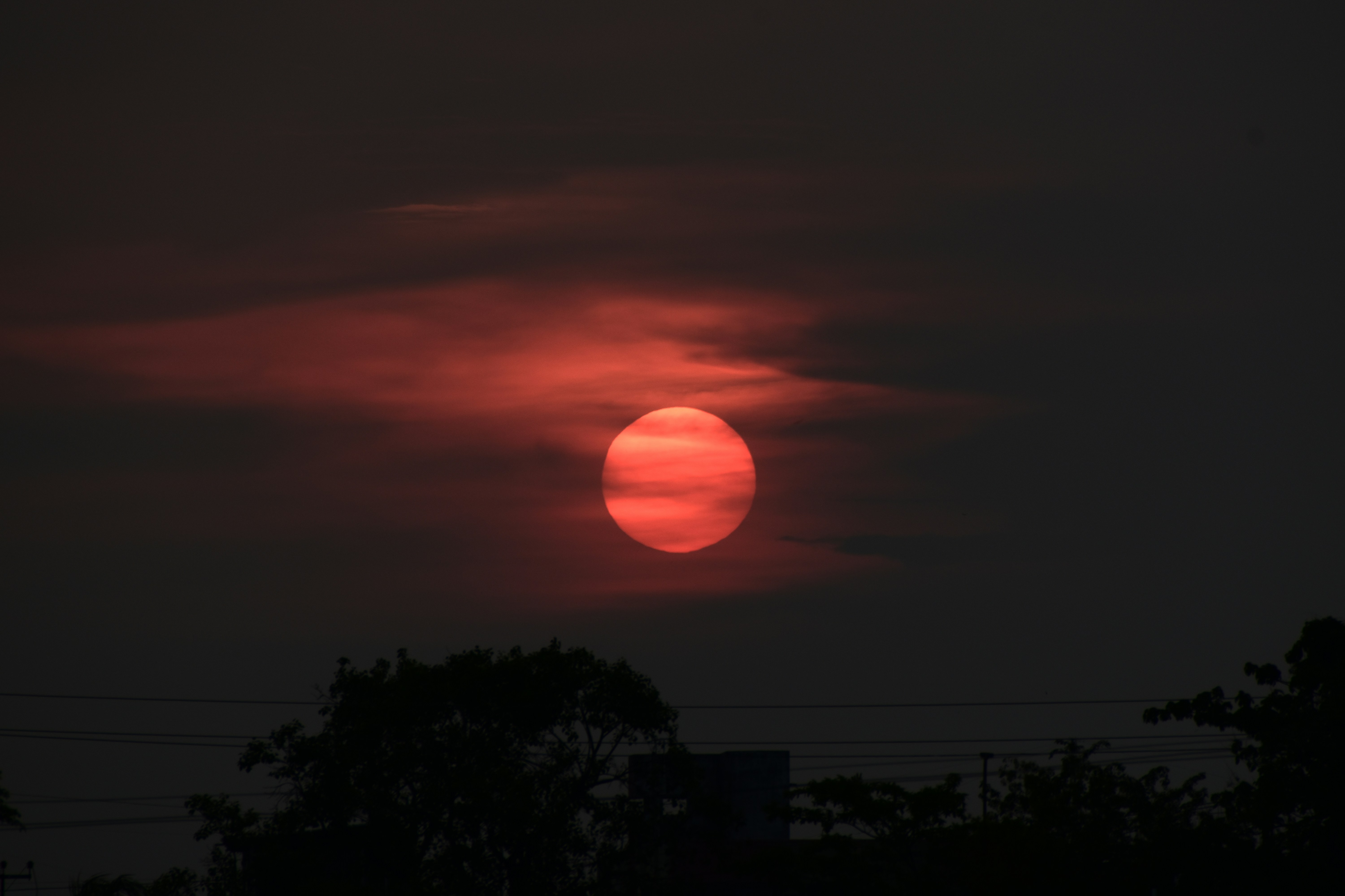 Photo by rohitroy1045