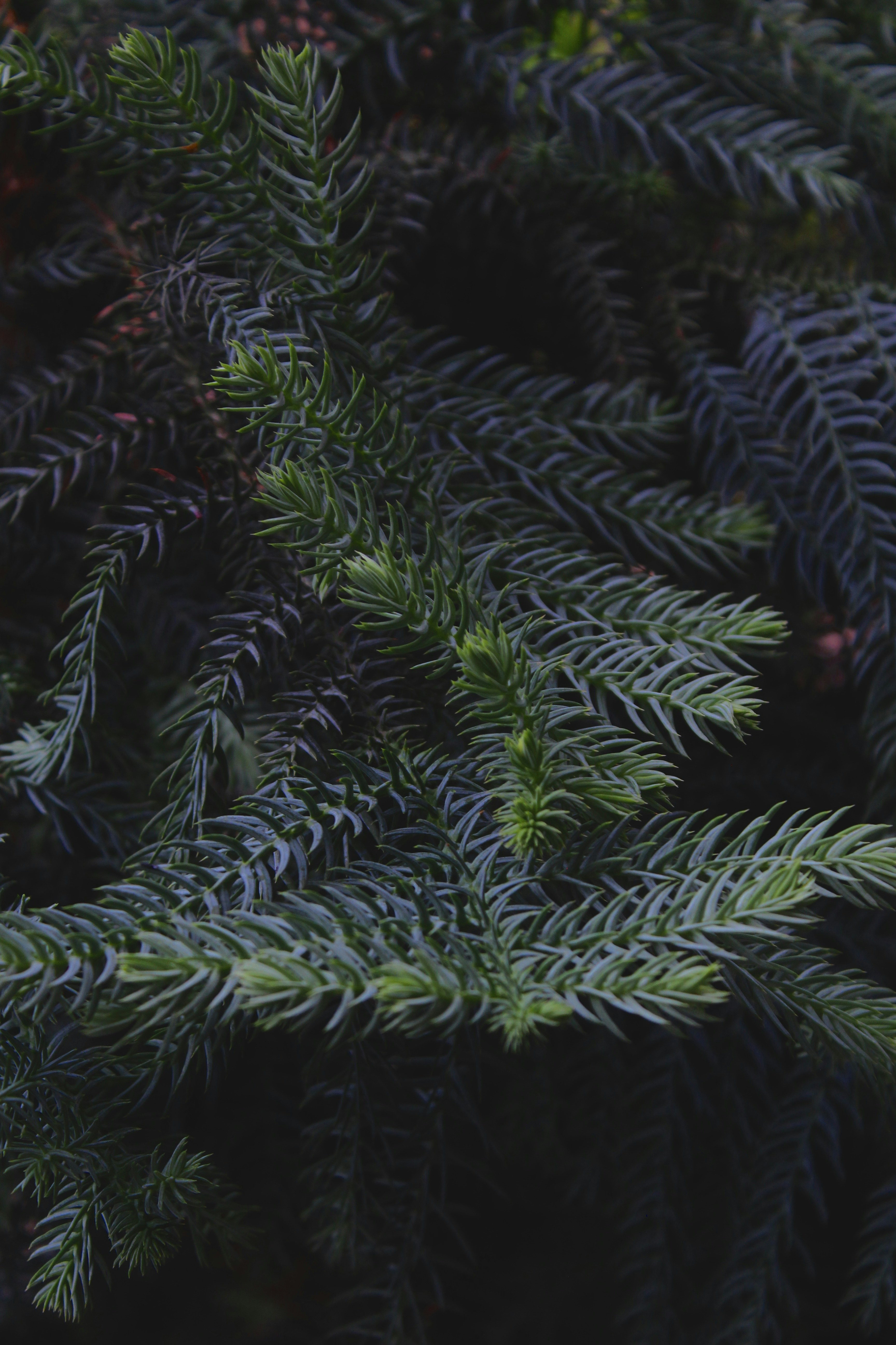 Photo by hsssssssssiga