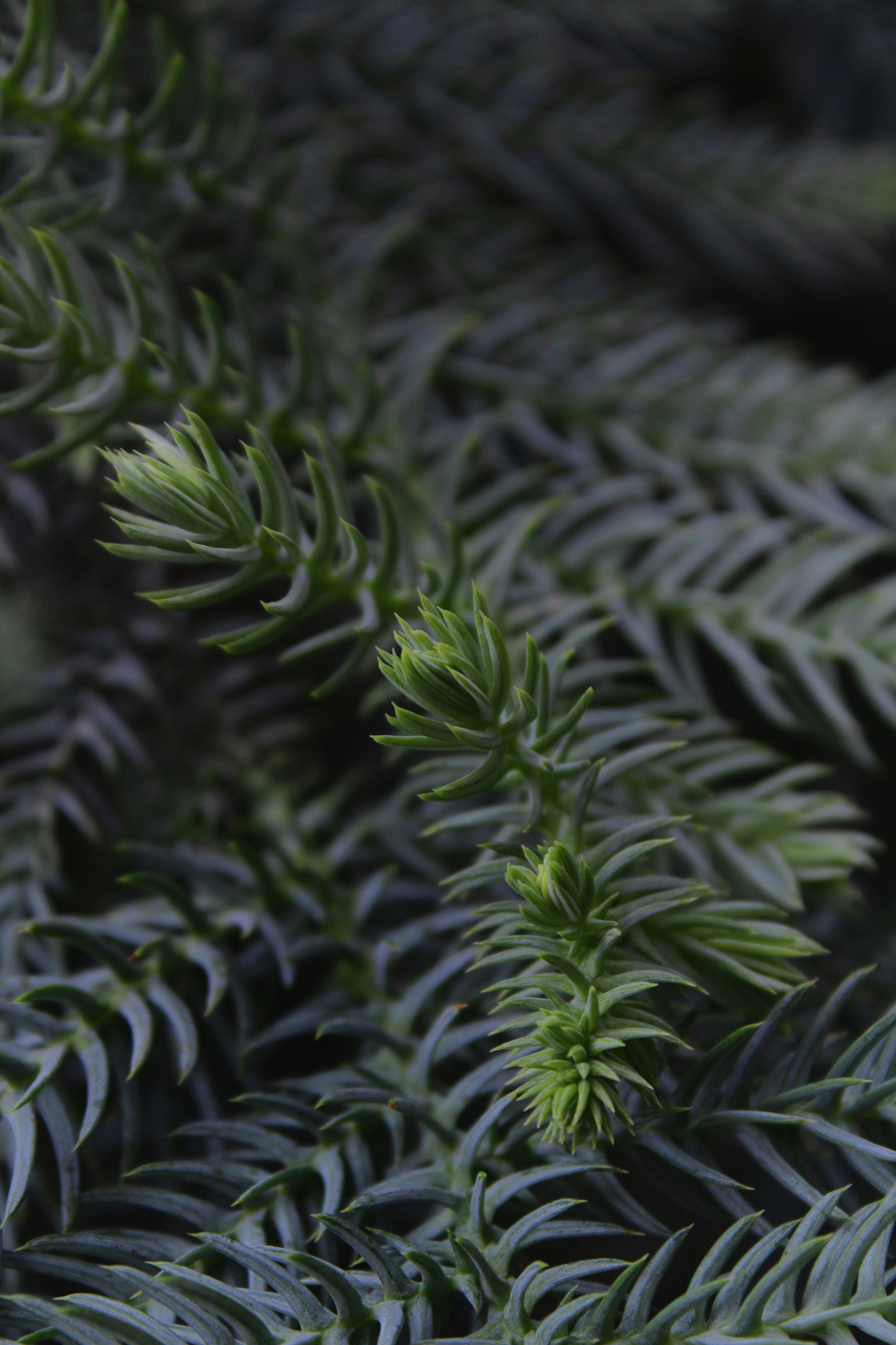 Photo by hsssssssssiga