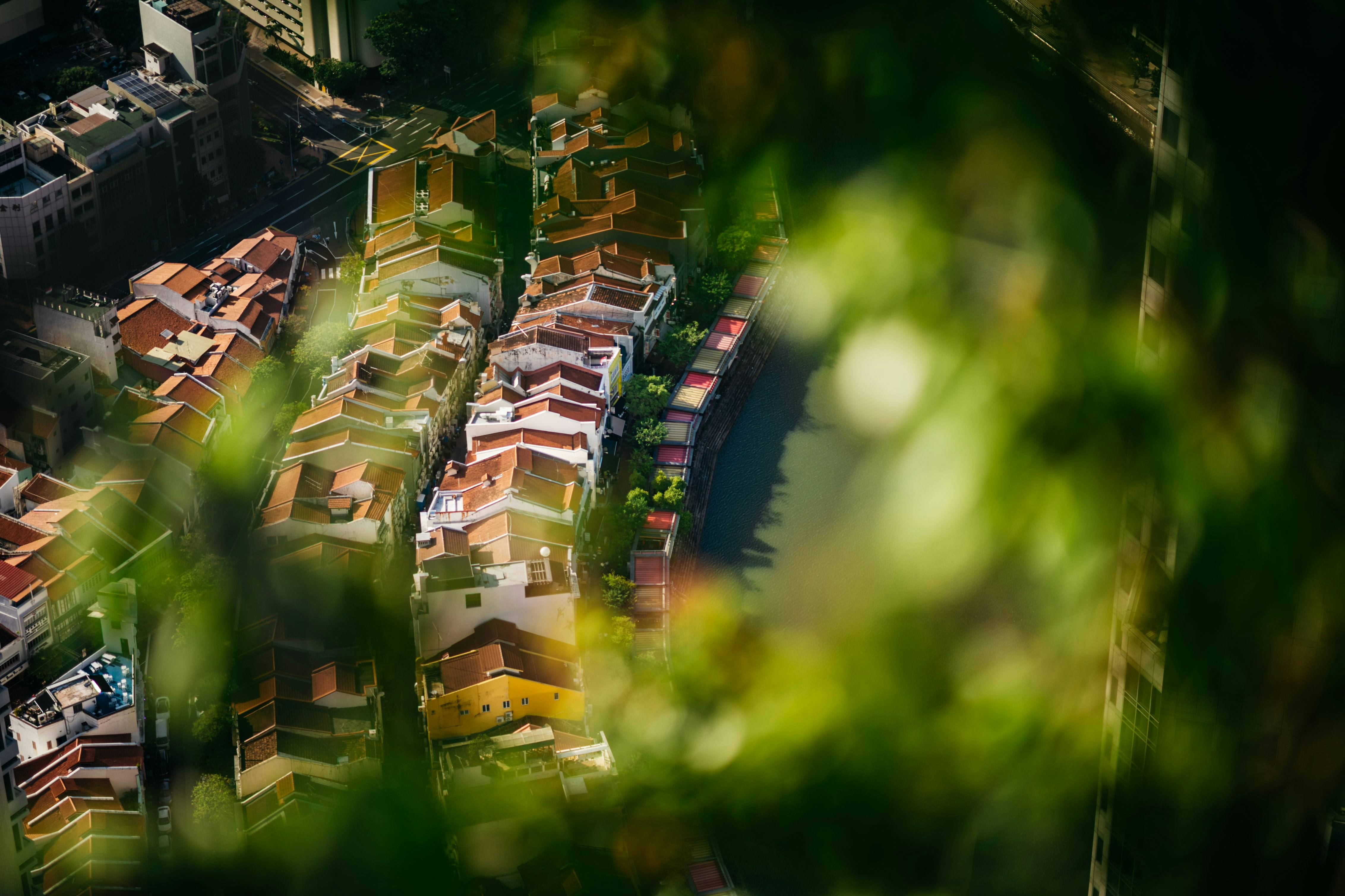 Photo by chuttersnap