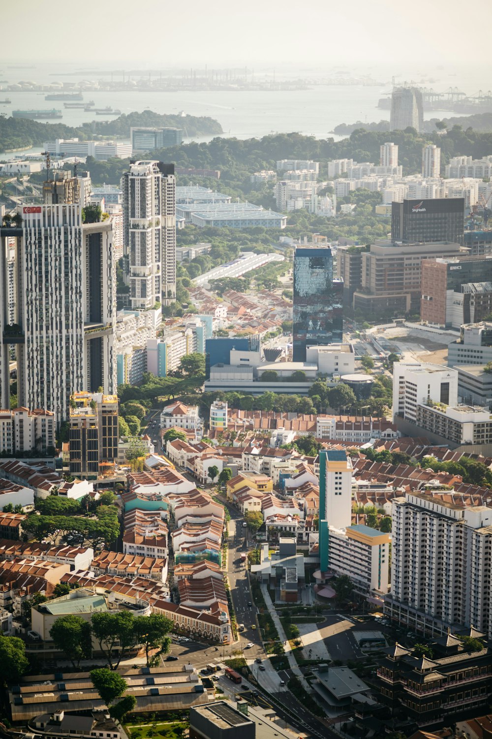 a city with many buildings