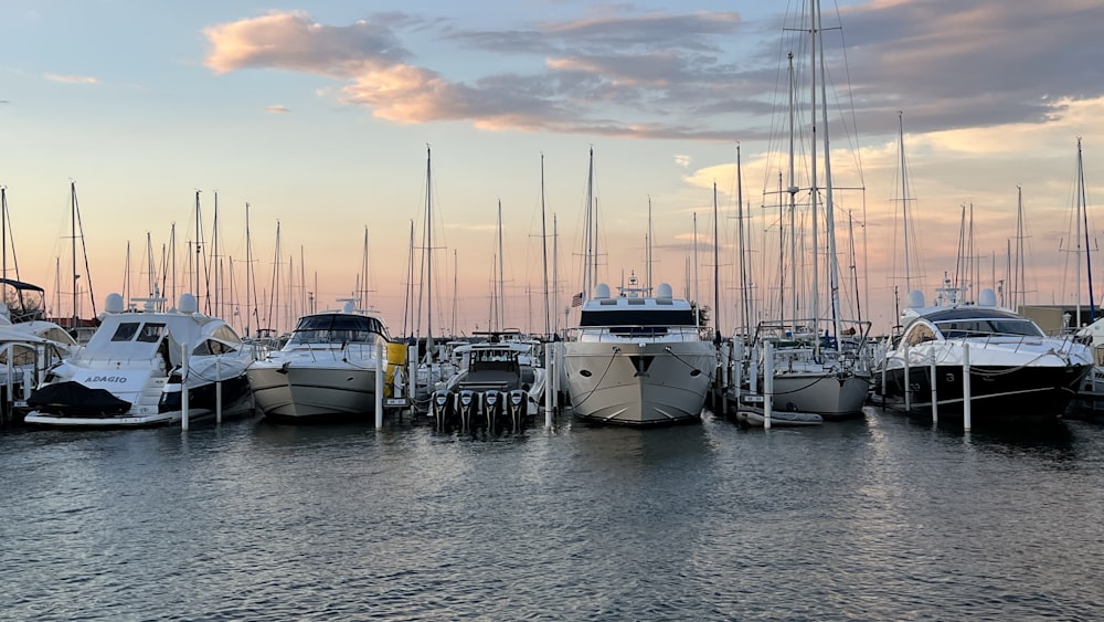 a group of boats sit in a harbor