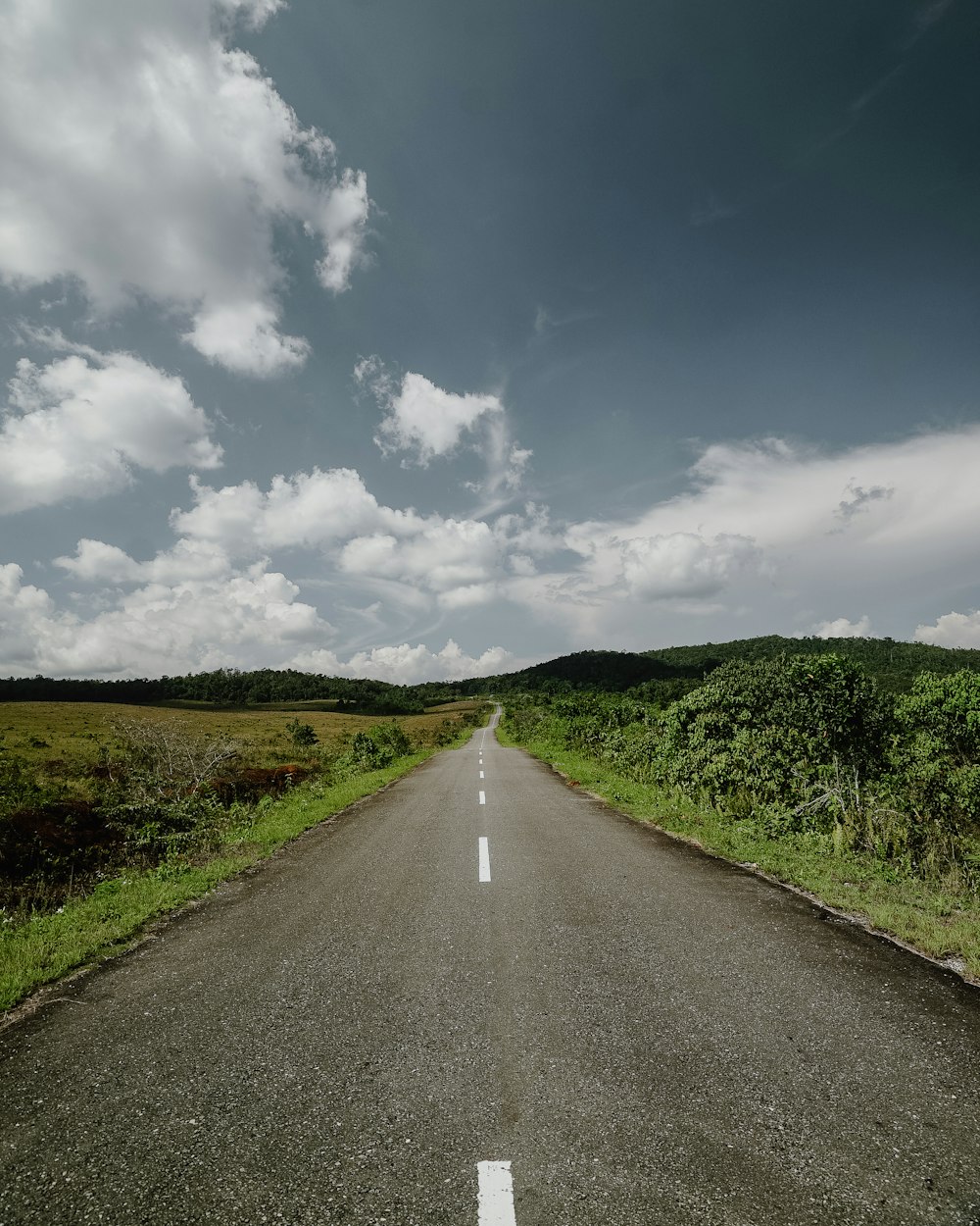 a road with grass and trees on the side