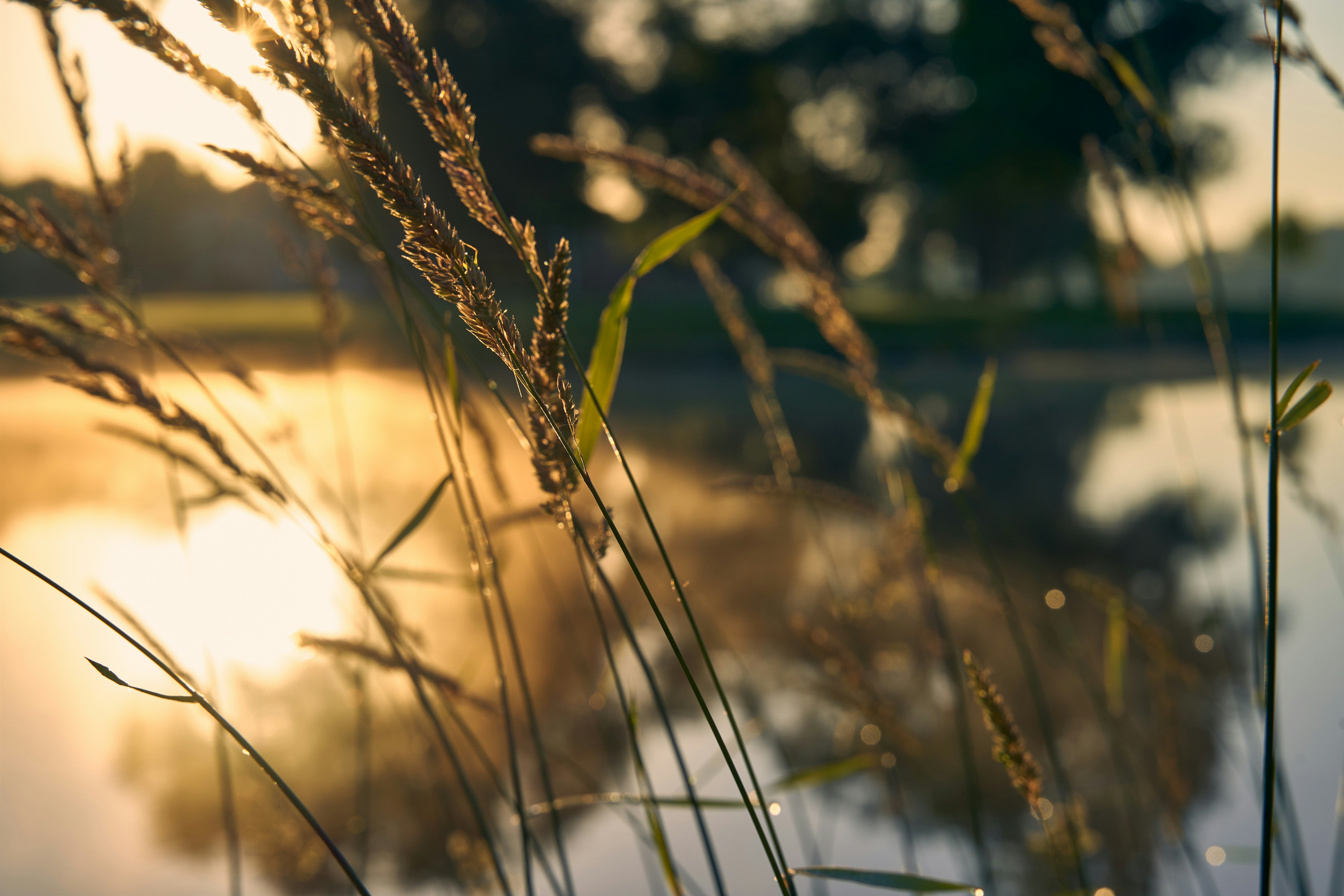 Photo by davidajones940