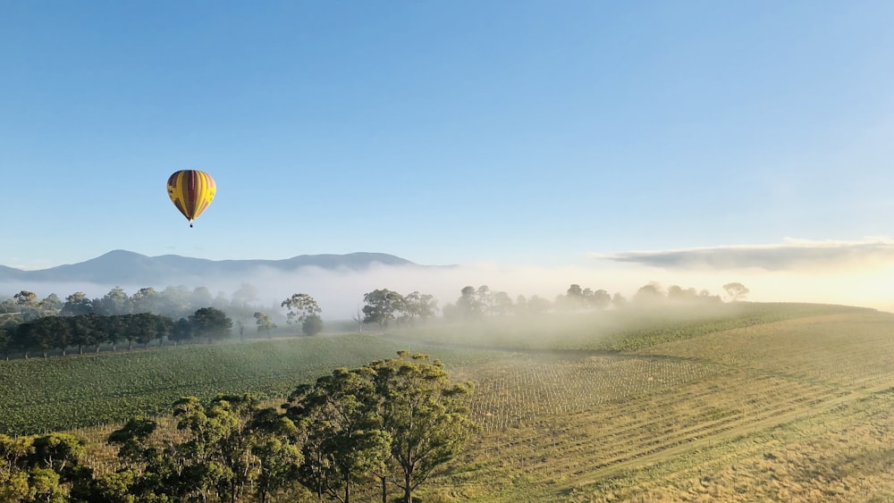 a hot air balloon over a field