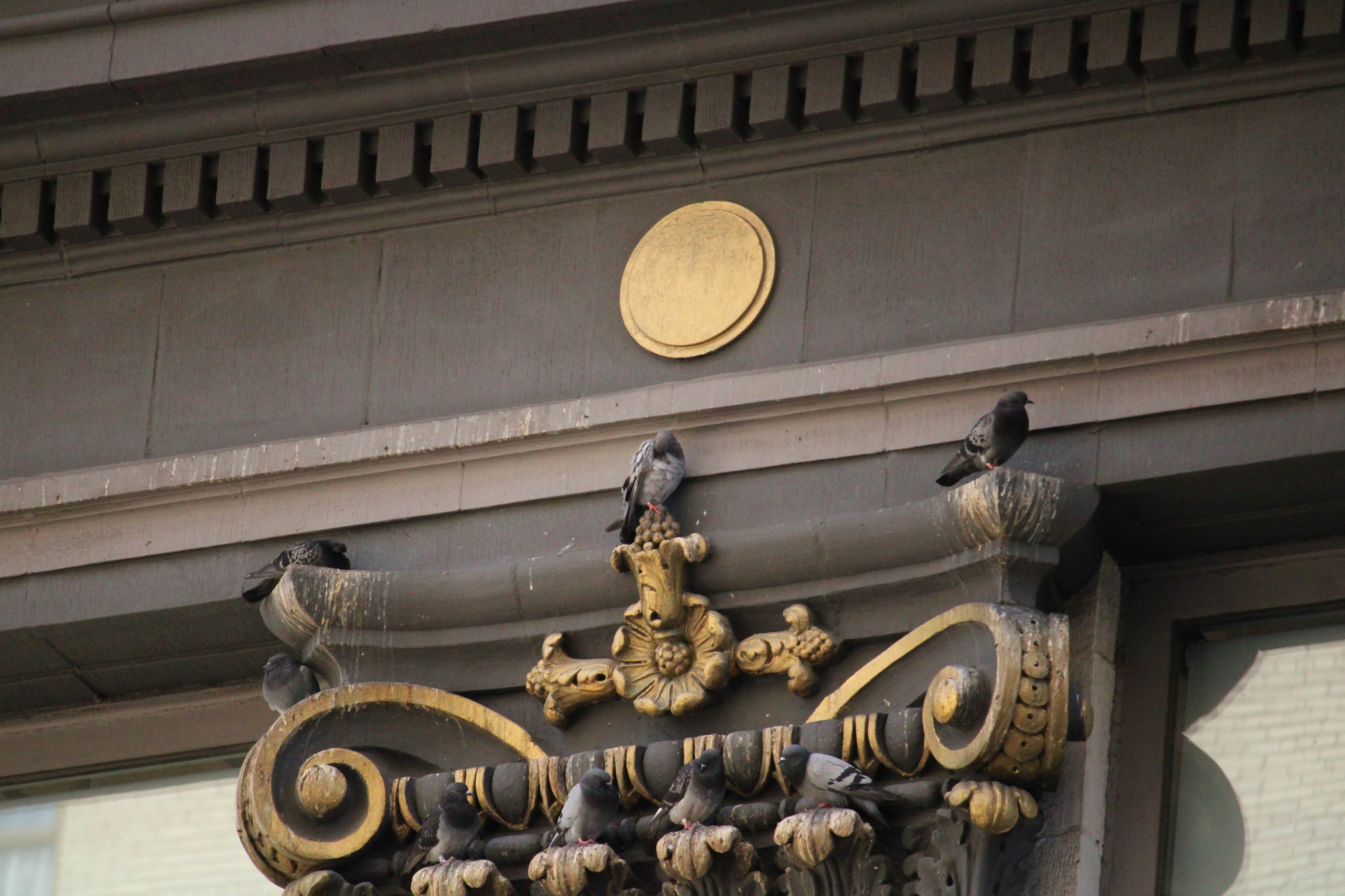 Símbolo de política de devoluciones