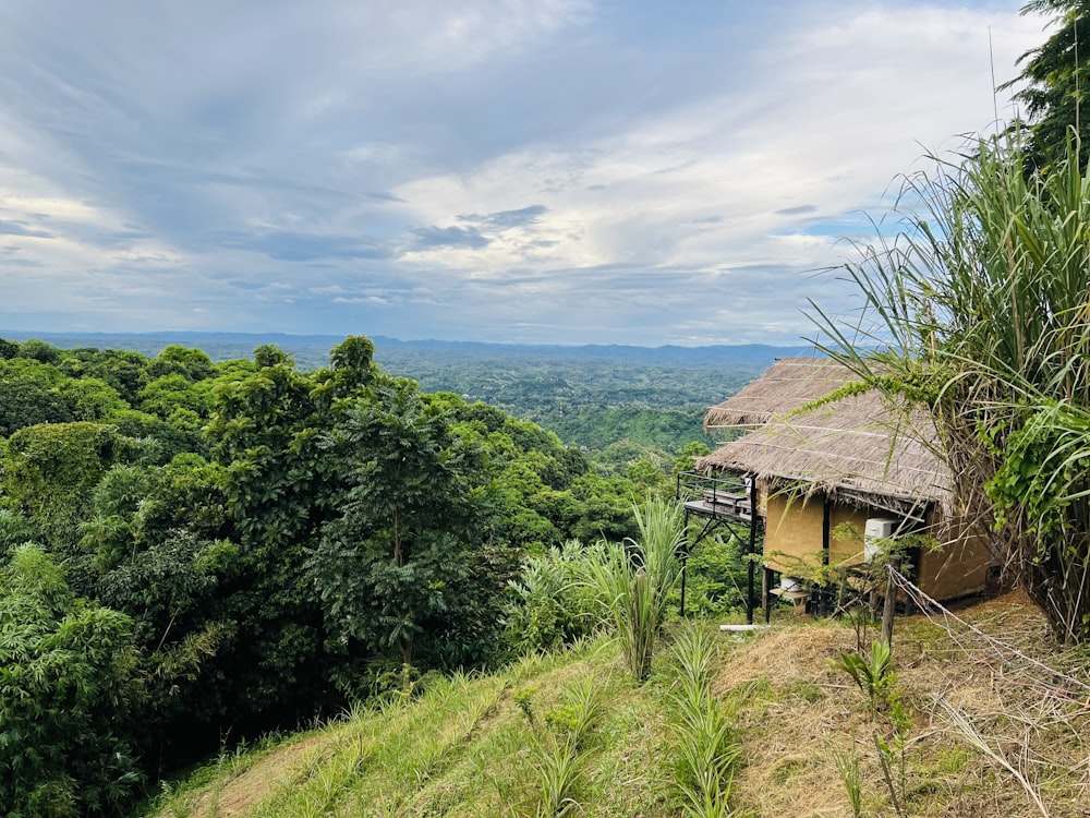 a house in a wooded area