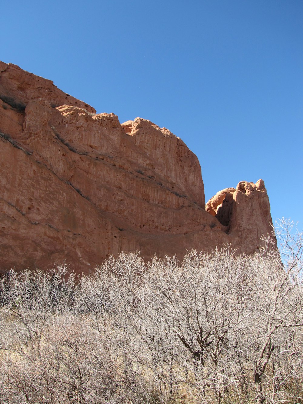 a tall rock formation with trees in front of it