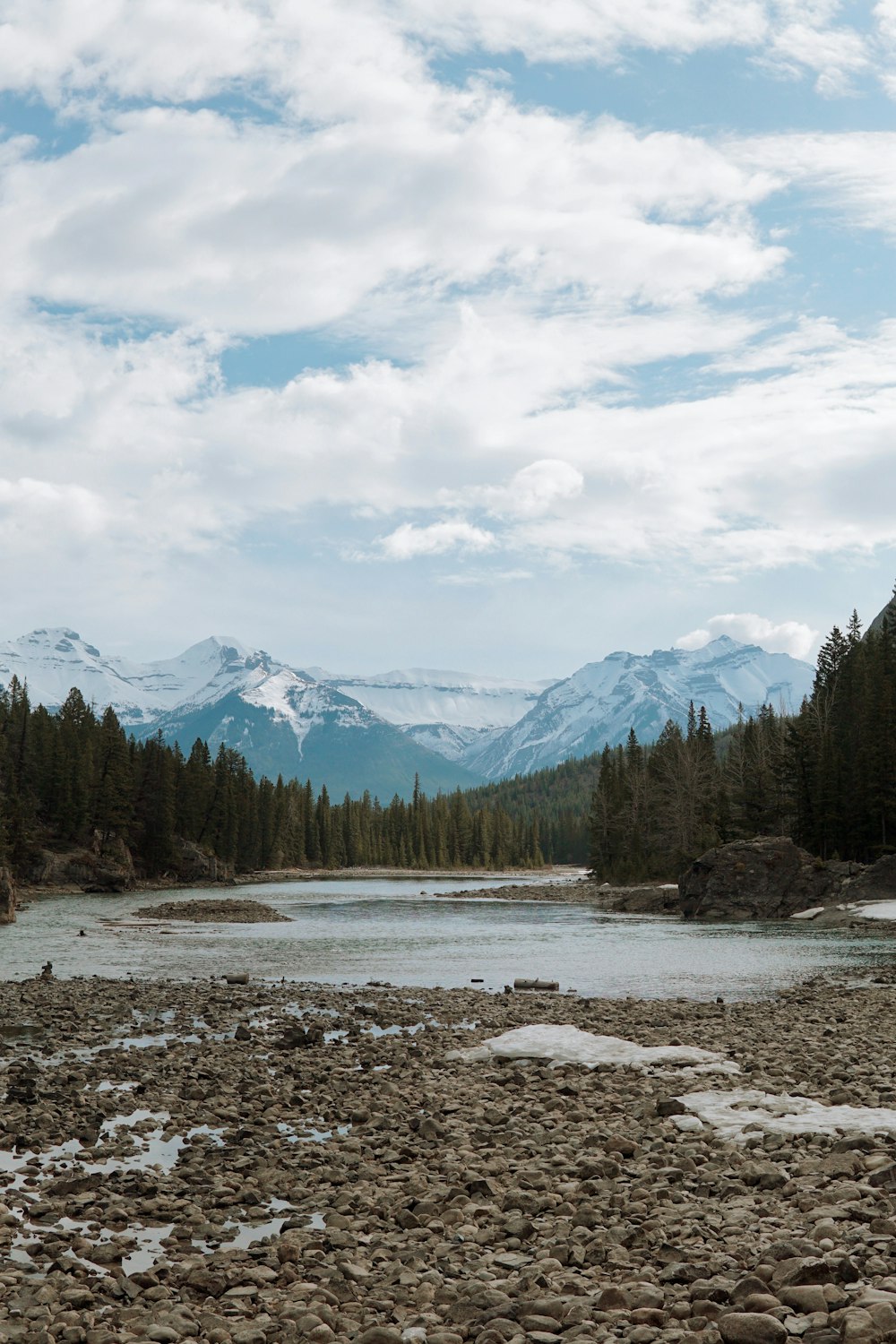 a river with rocks and trees with mountains in the background