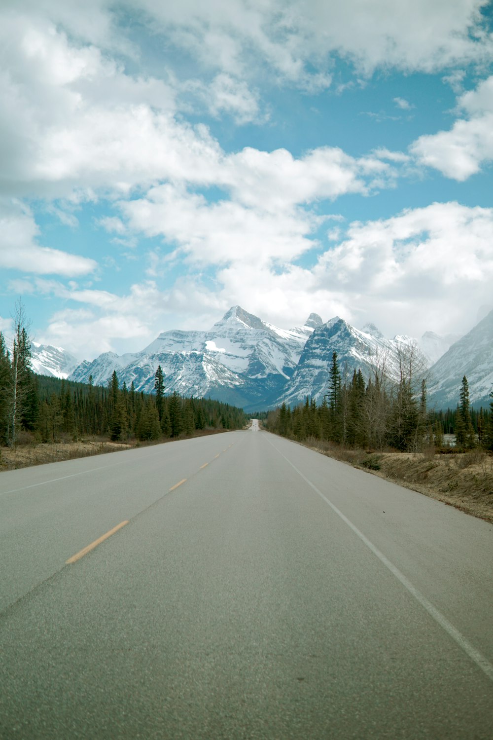 a road with trees and mountains in the background