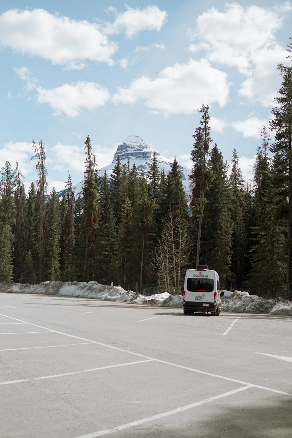 a bus driving on a road with trees and a mountain in the background