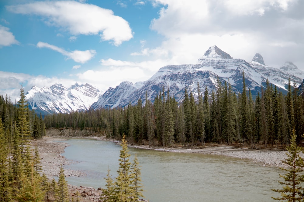 a lake surrounded by trees and mountains