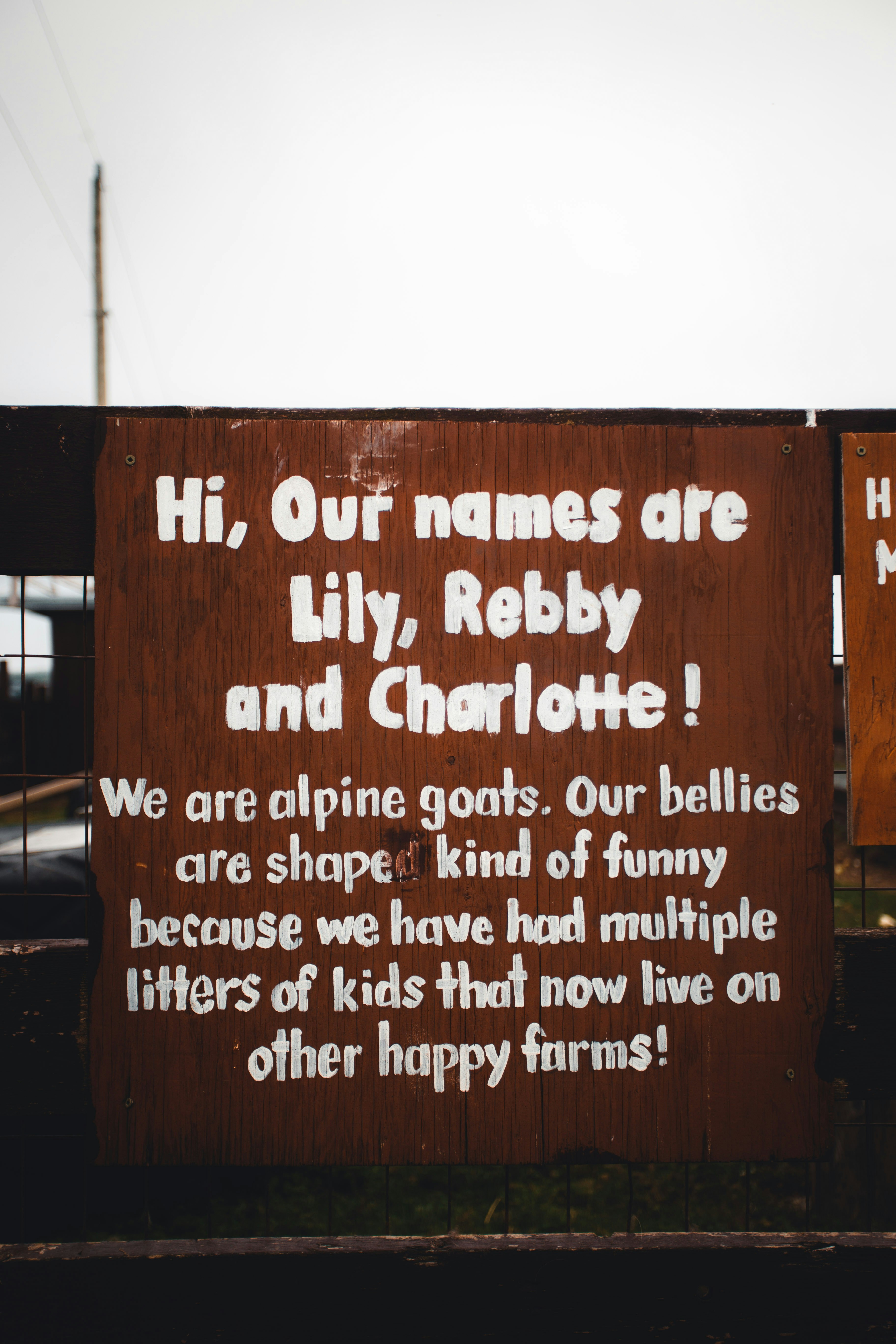 A sign on a wall photo – Free Brown Image on Unsplash