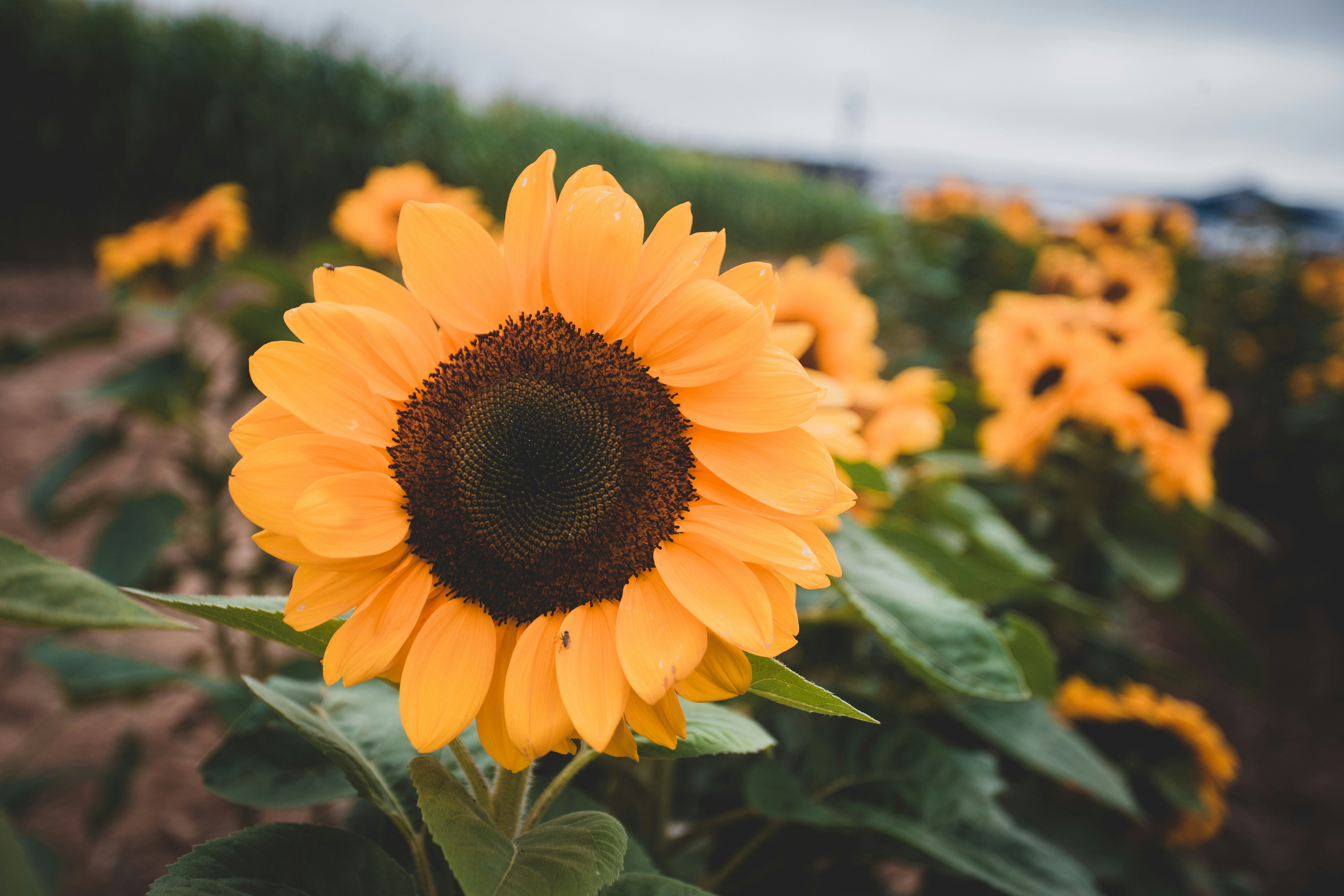 Photo by introspectivedsgn