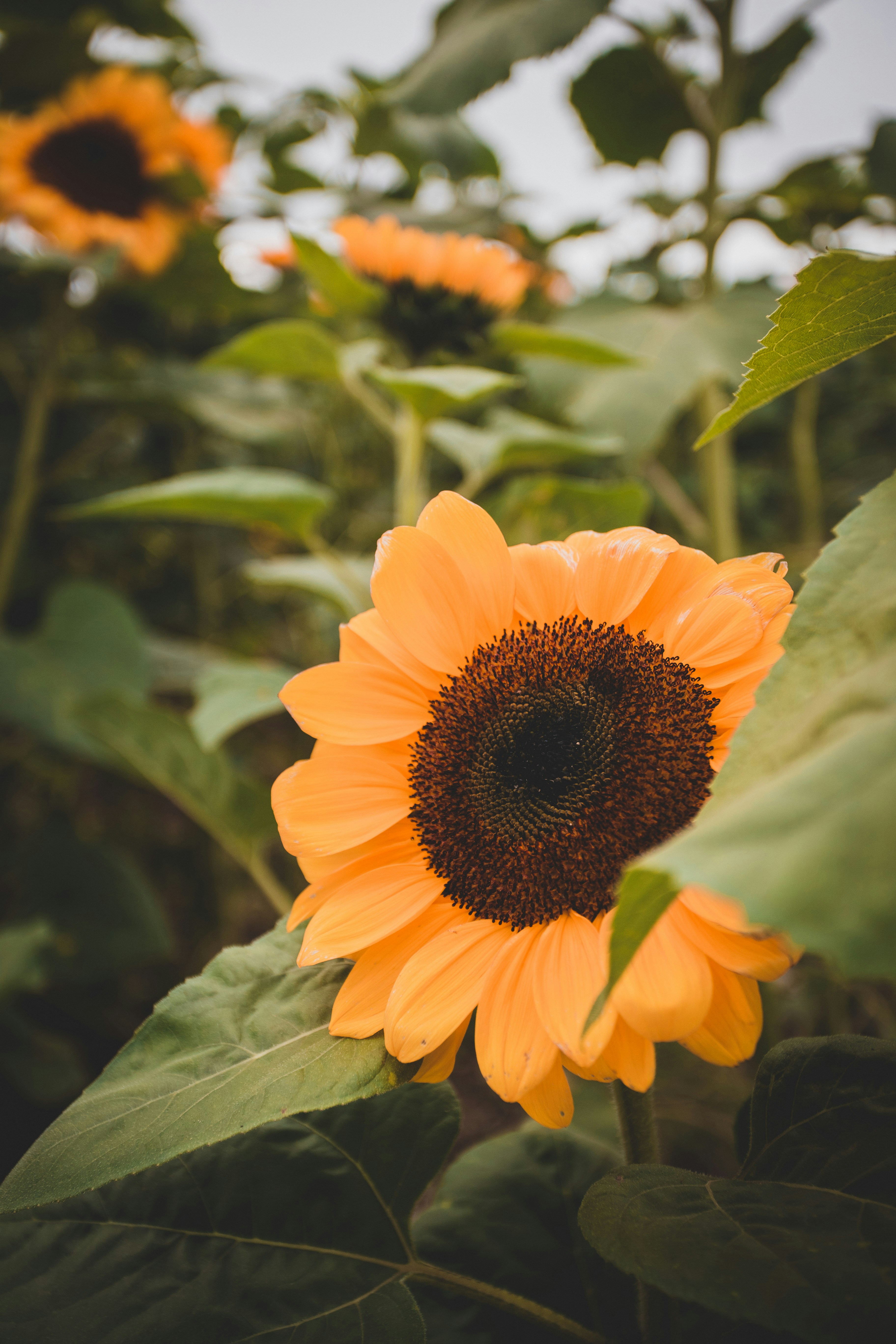 Photo by introspectivedsgn