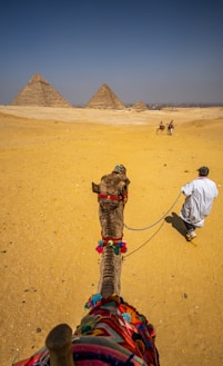 a man standing next to a camel