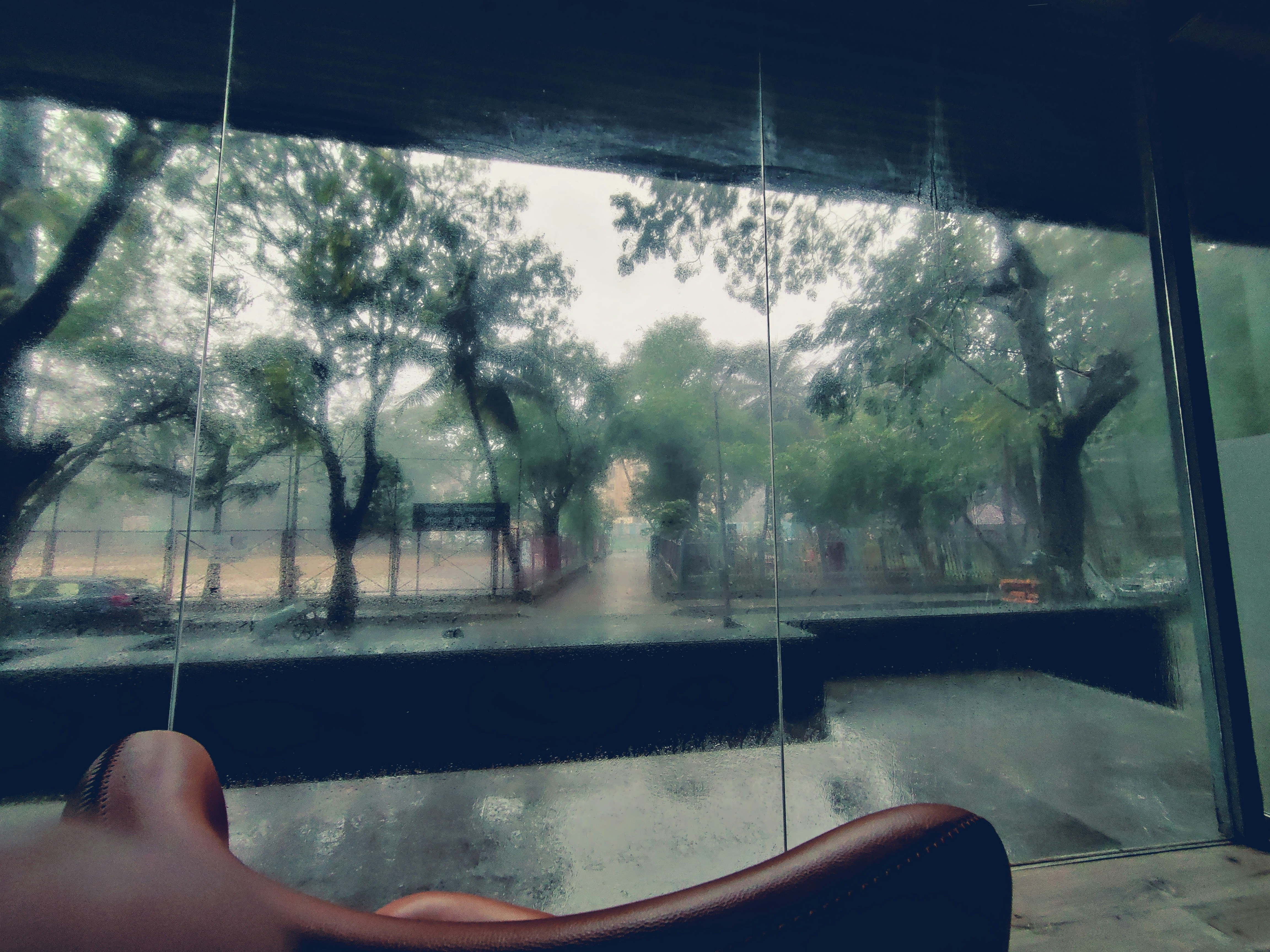 东年长 | 春雷，硬币与单相思