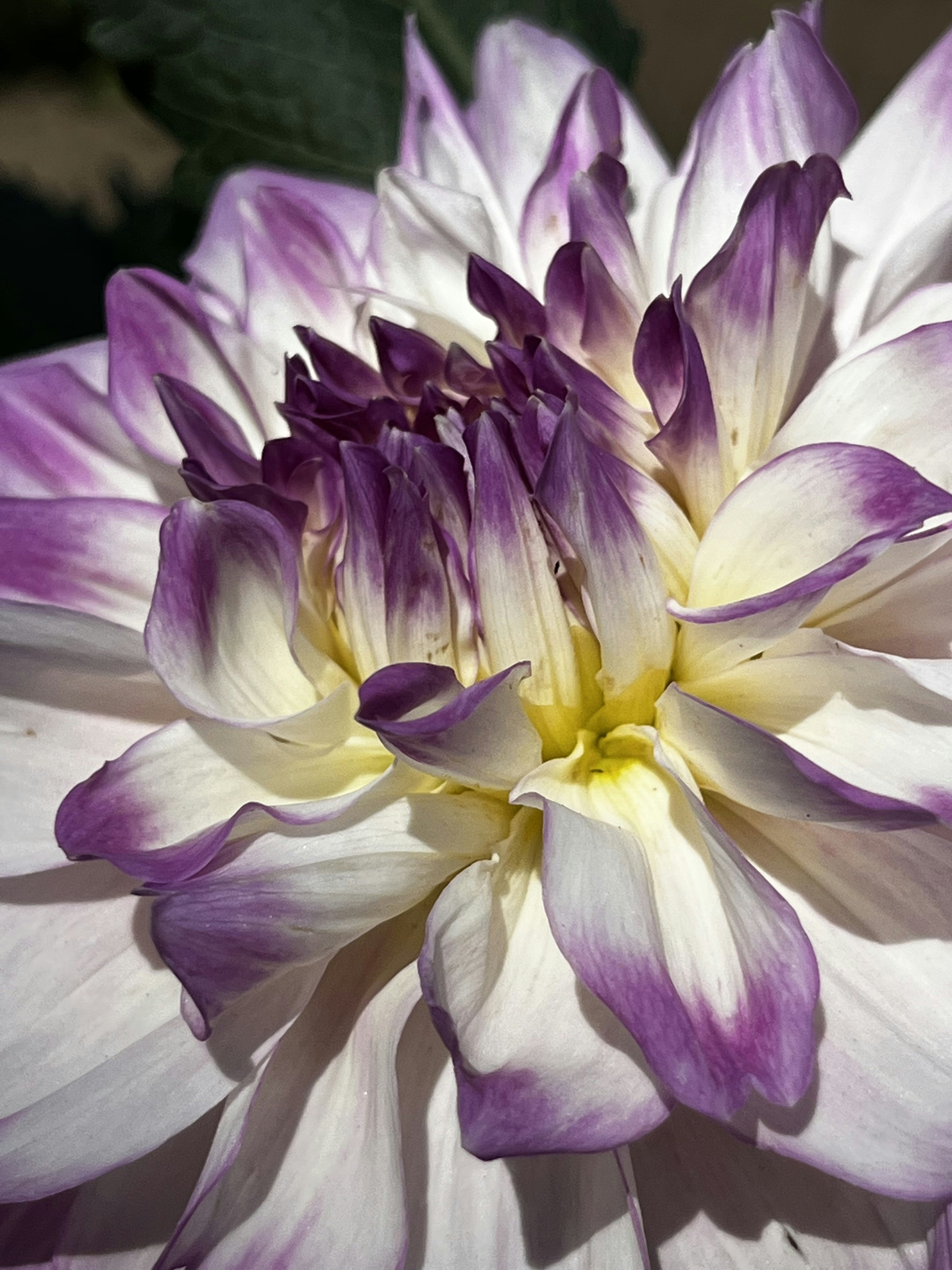 Photo by christinacorwin