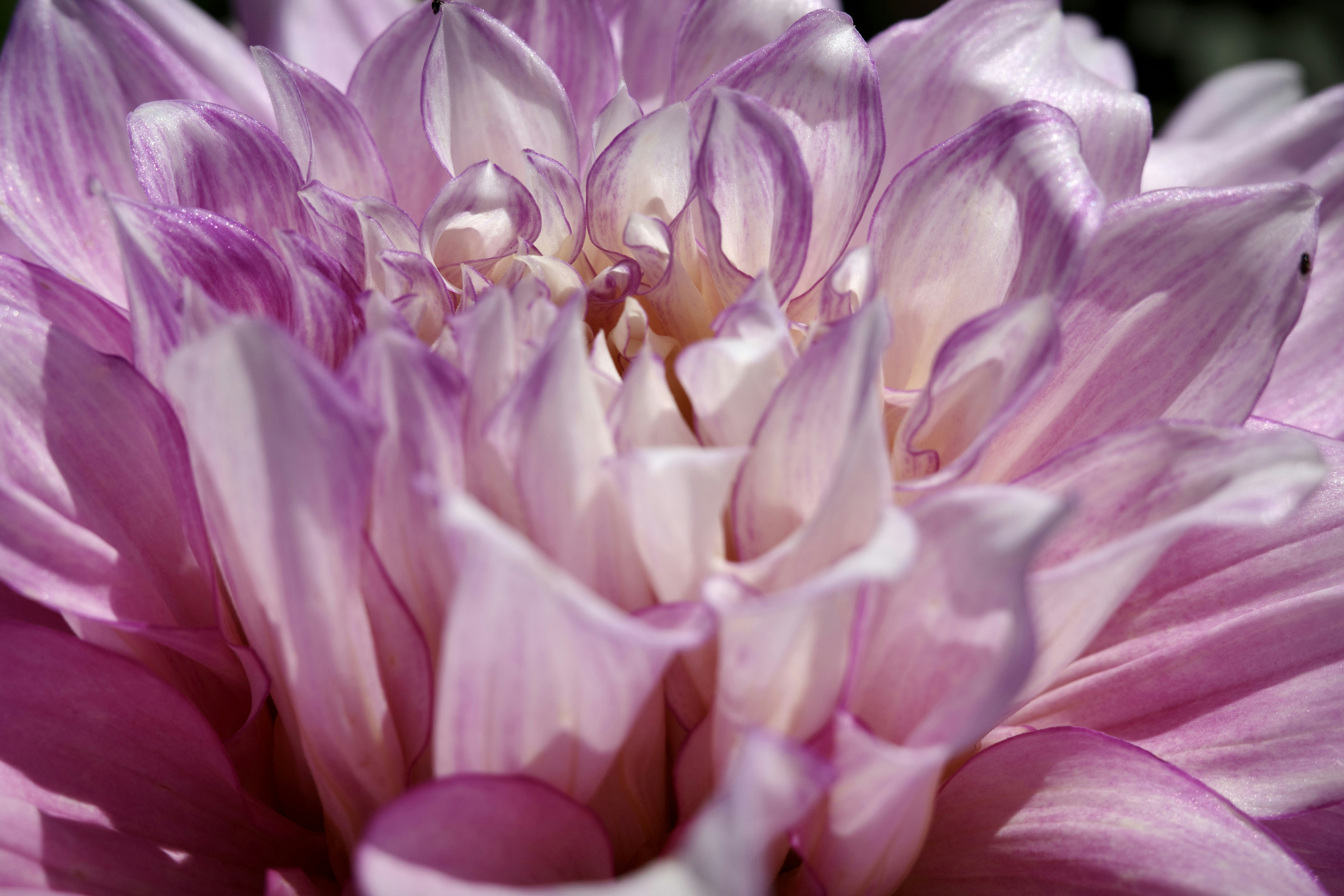 Photo by christinacorwin