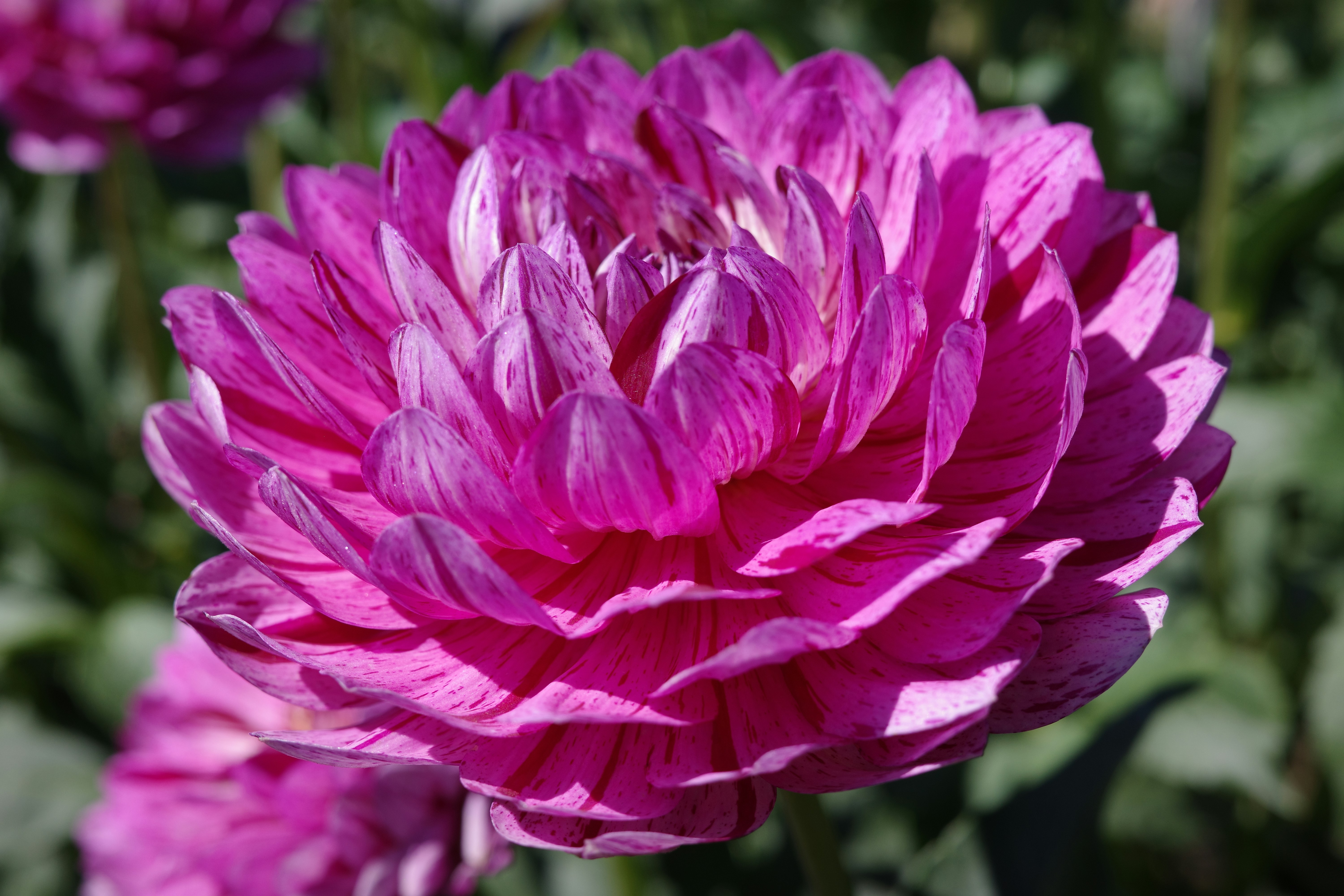 Photo by christinacorwin