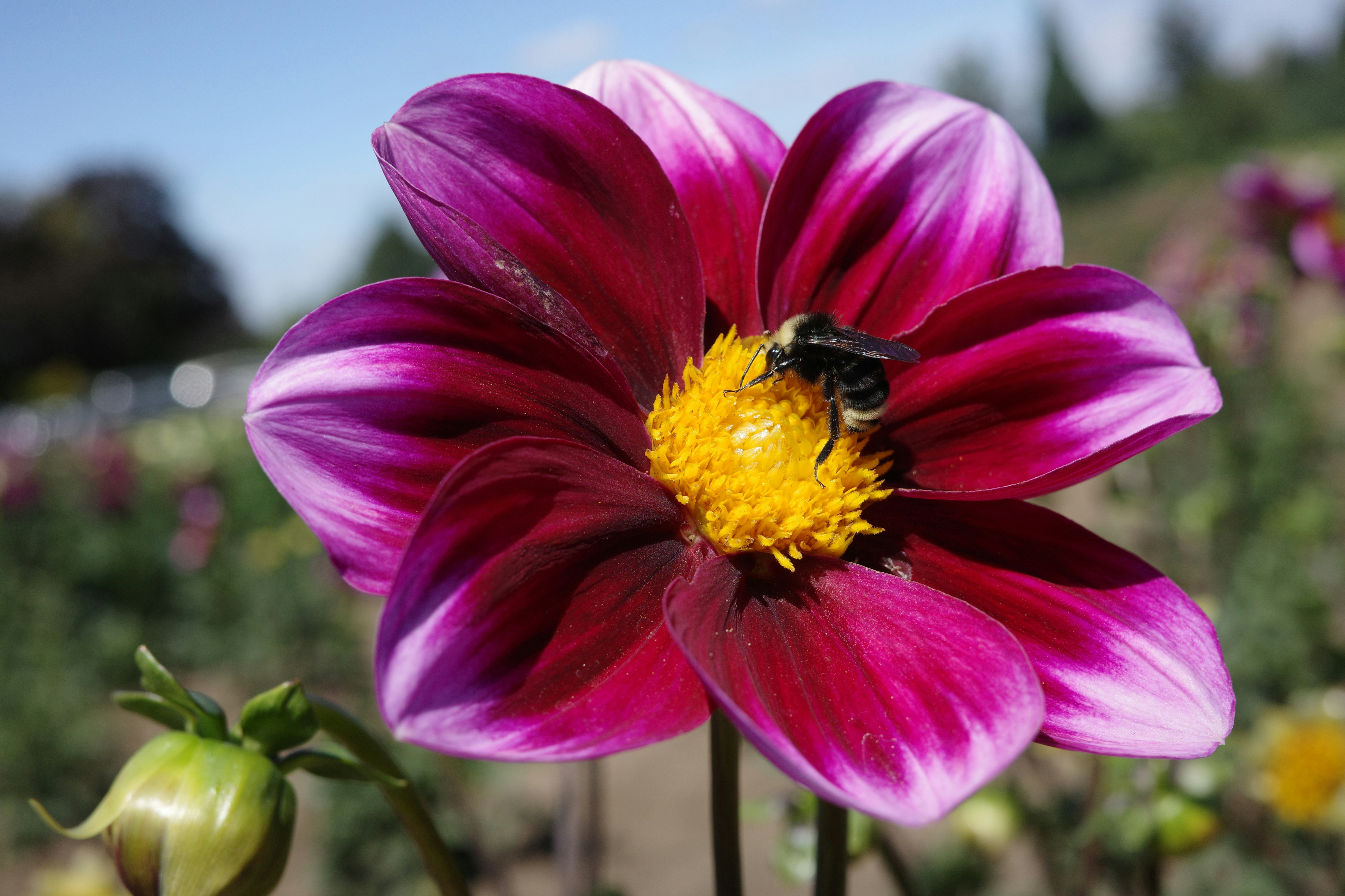 Photo by christinacorwin