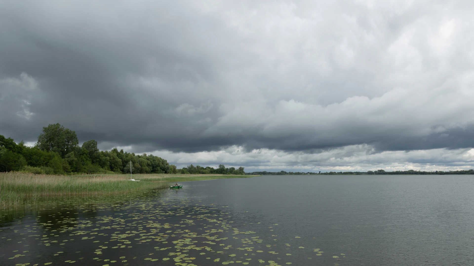 a body of water with grass and trees around it