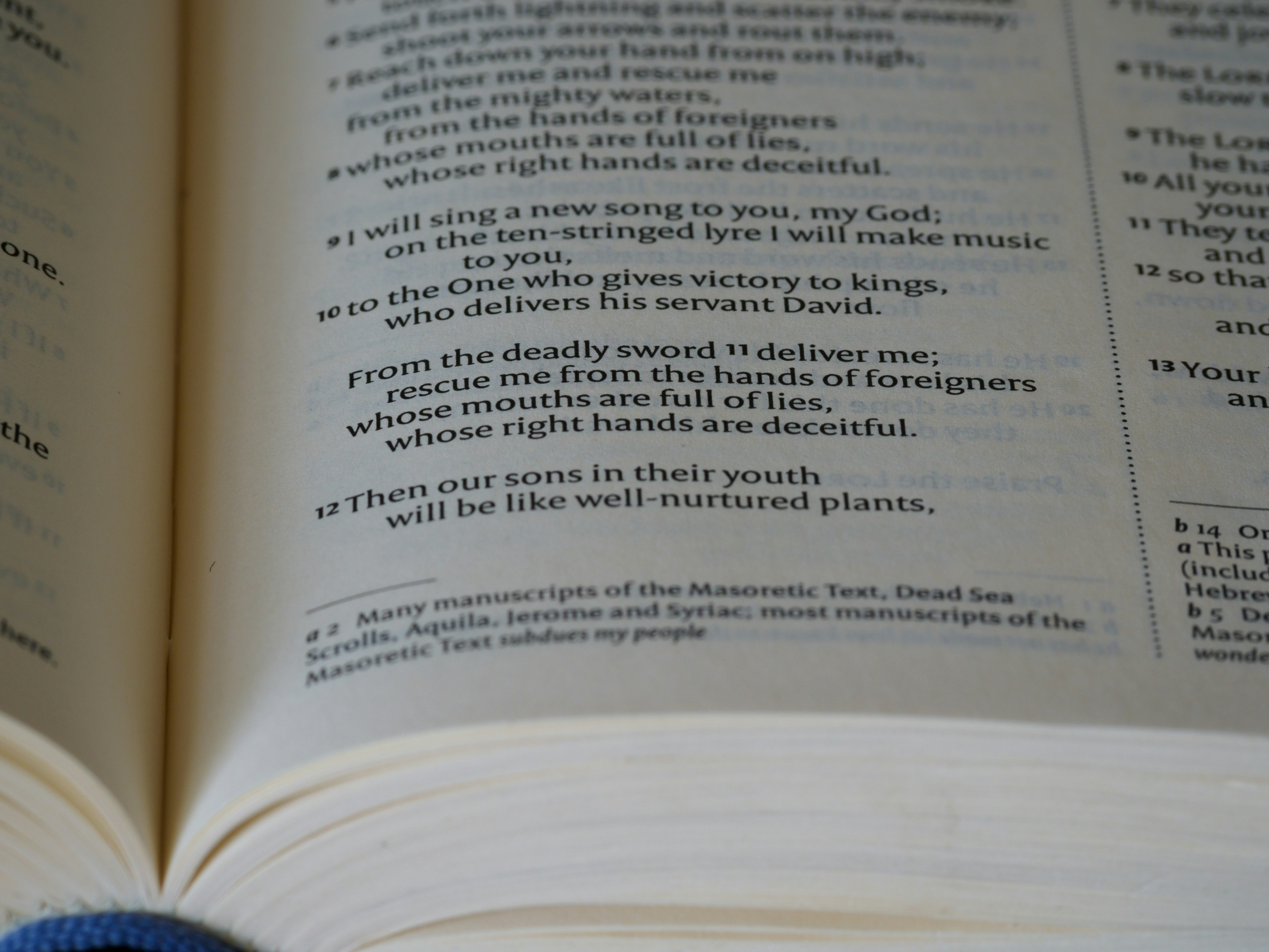 Photo by brett_jordan