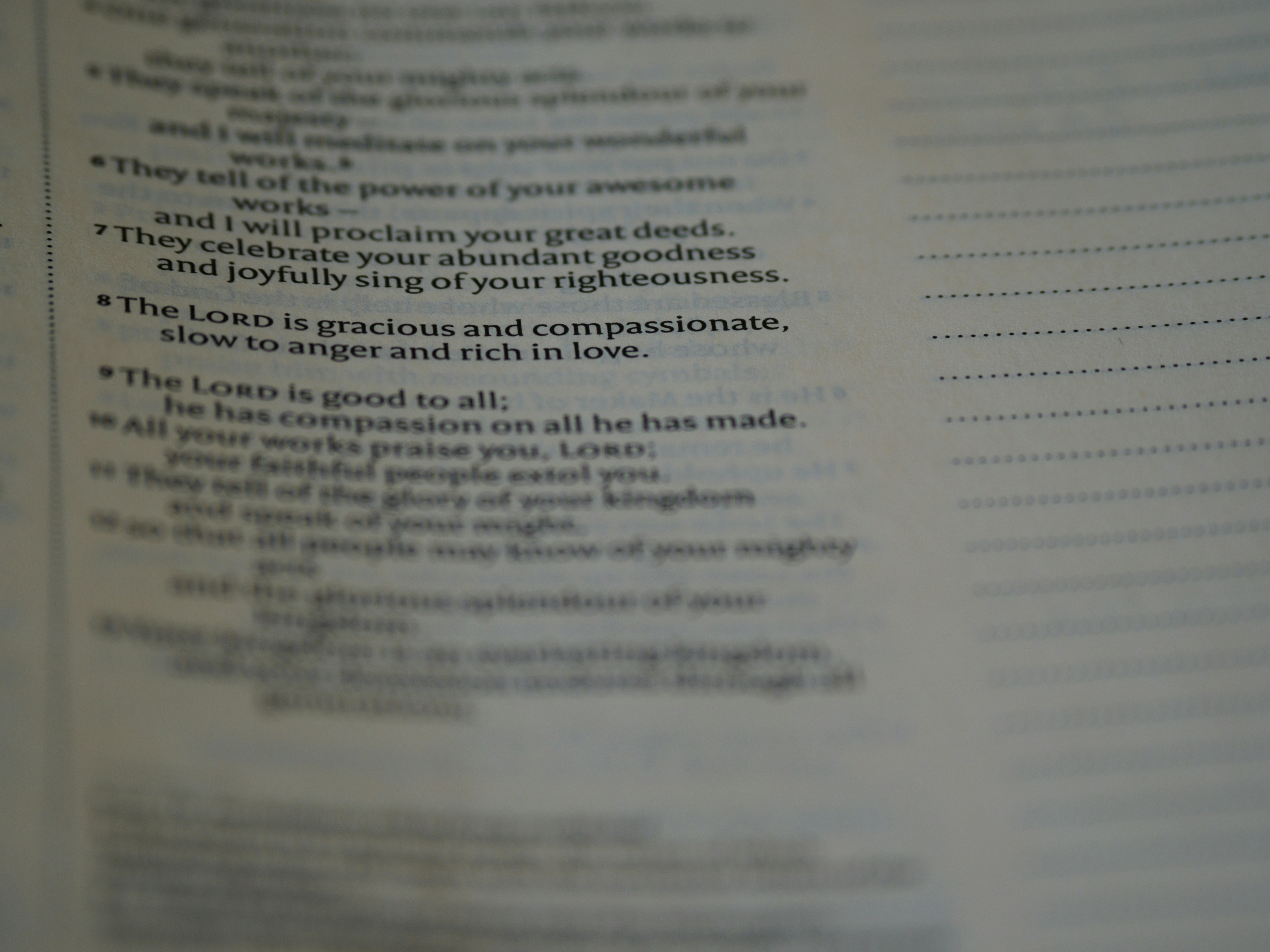 Photo by brett_jordan