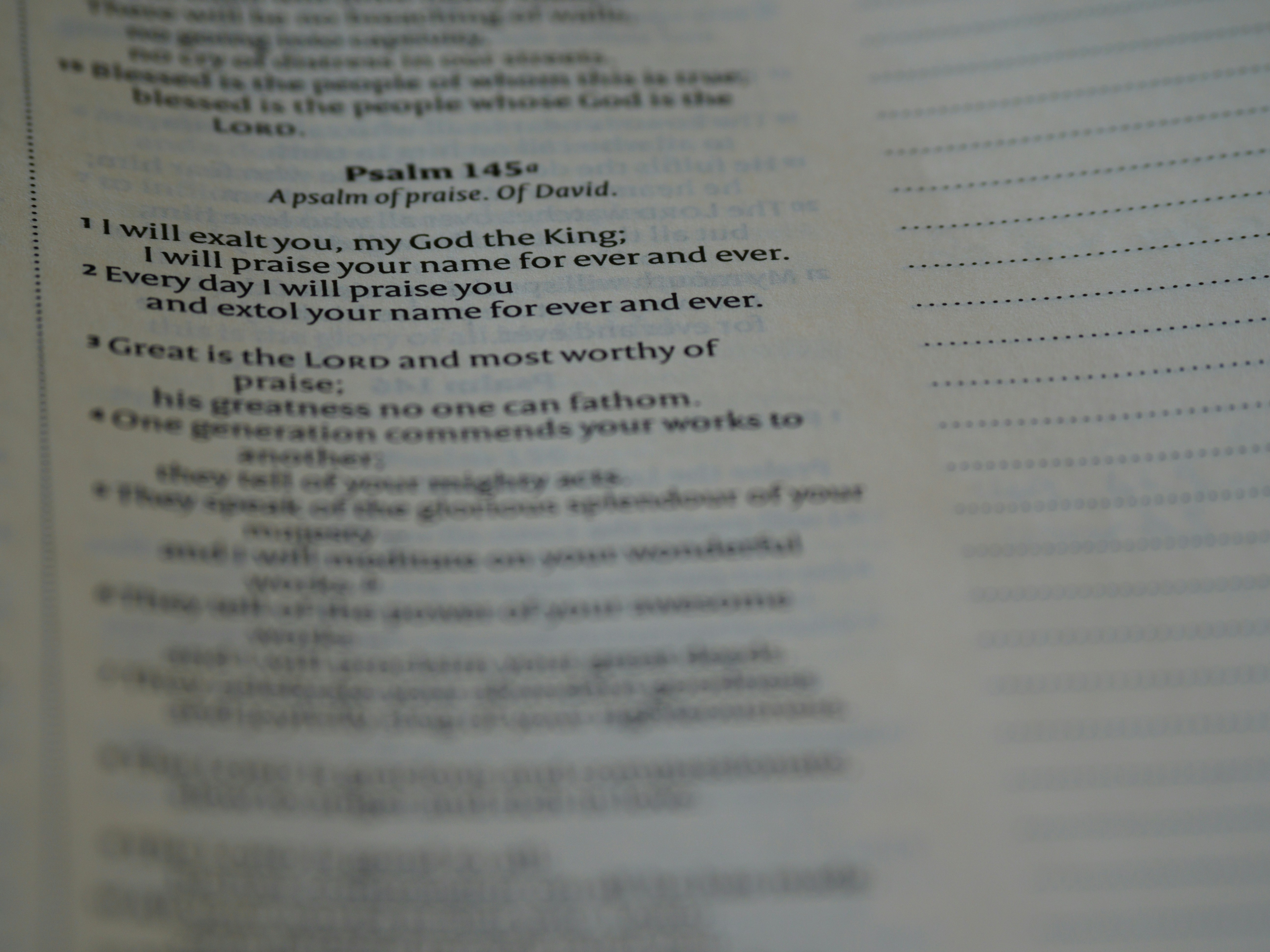 Photo by brett_jordan