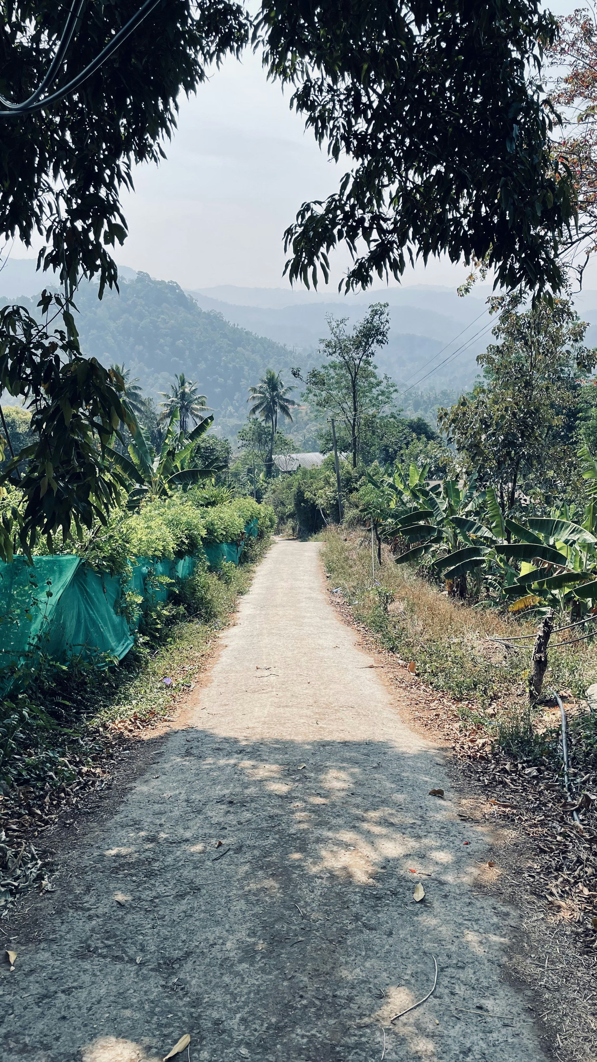 Photo by jackdragneel