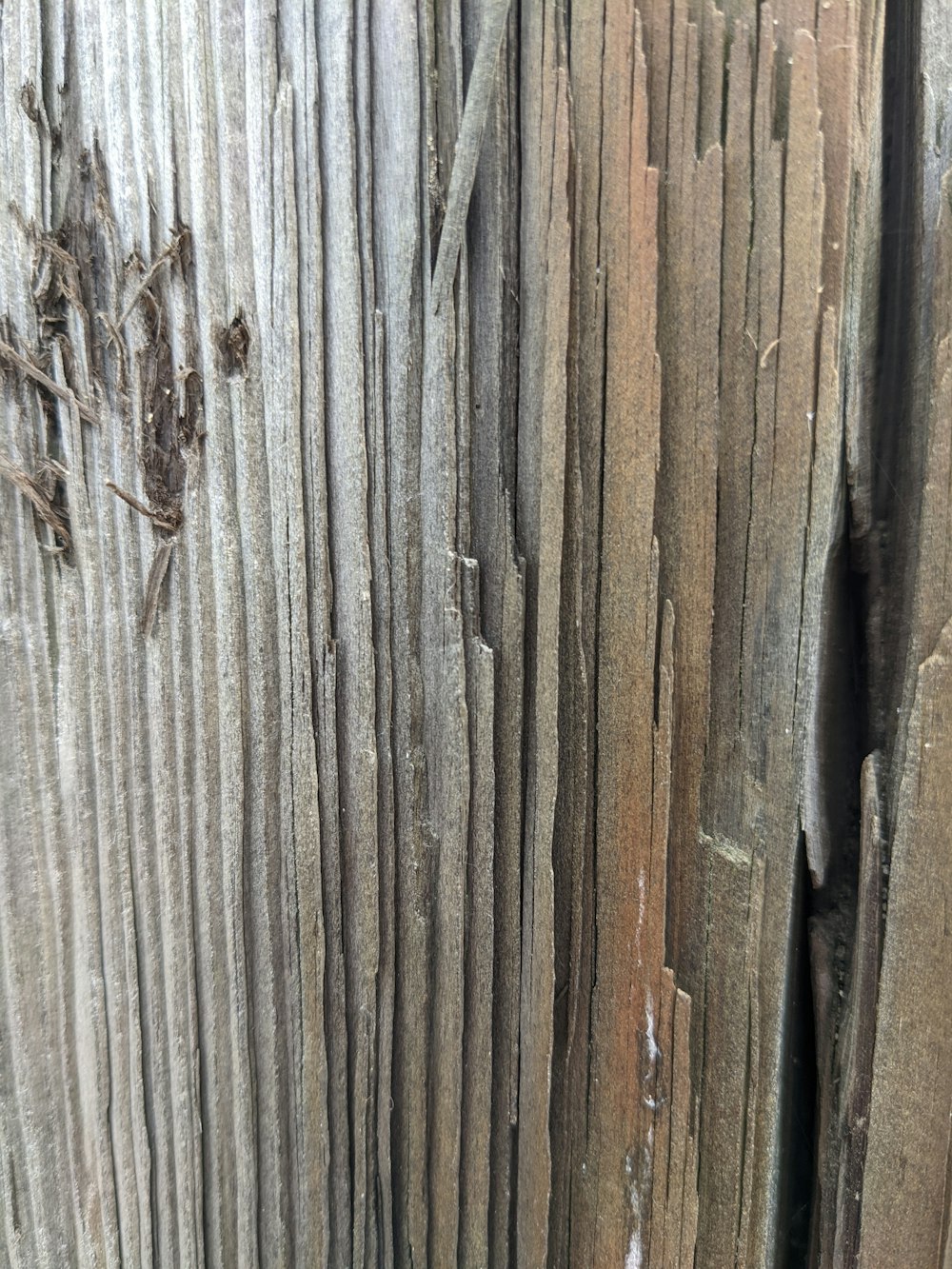 a close up of wood