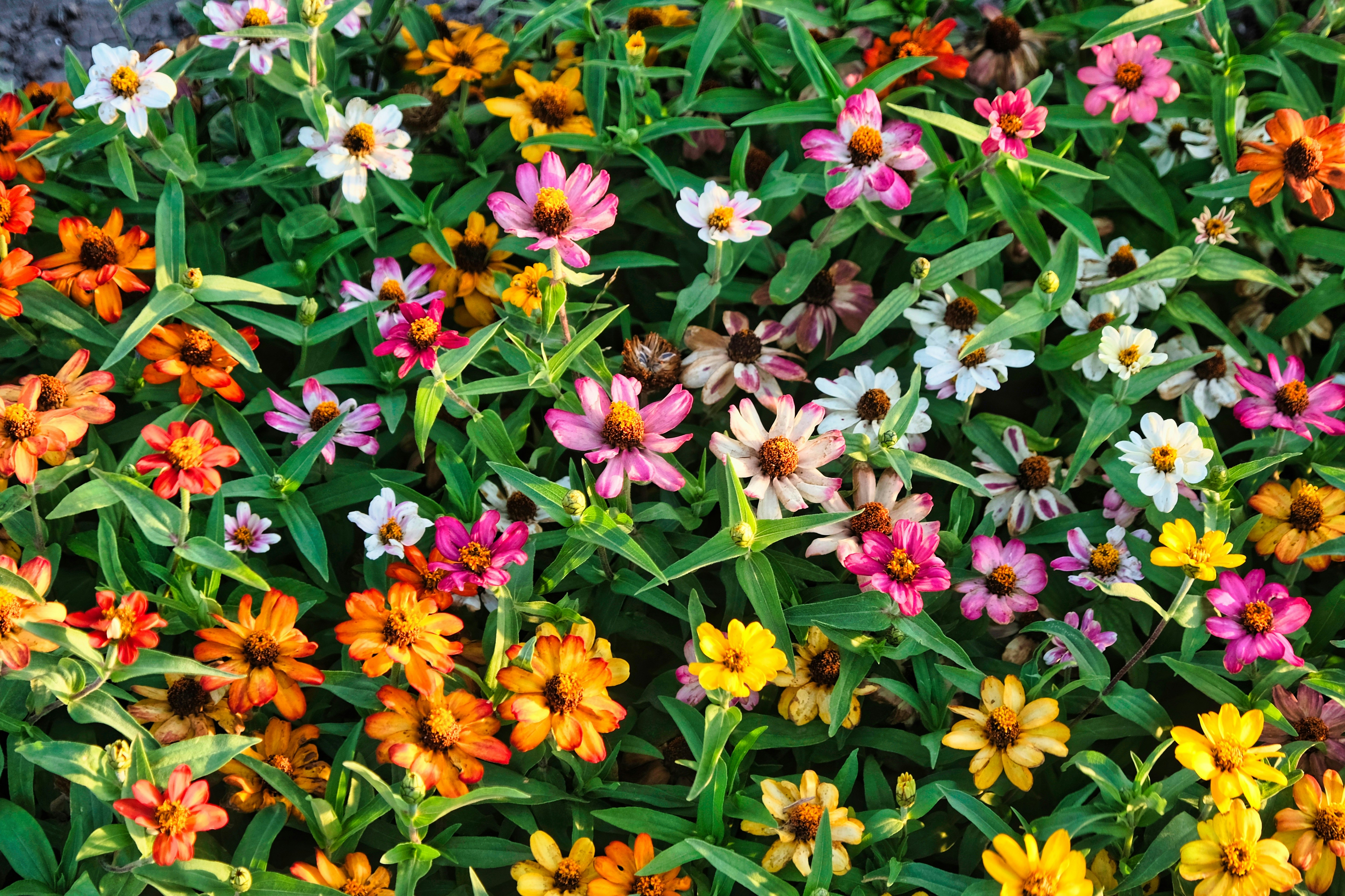 Photo by etienneflorent