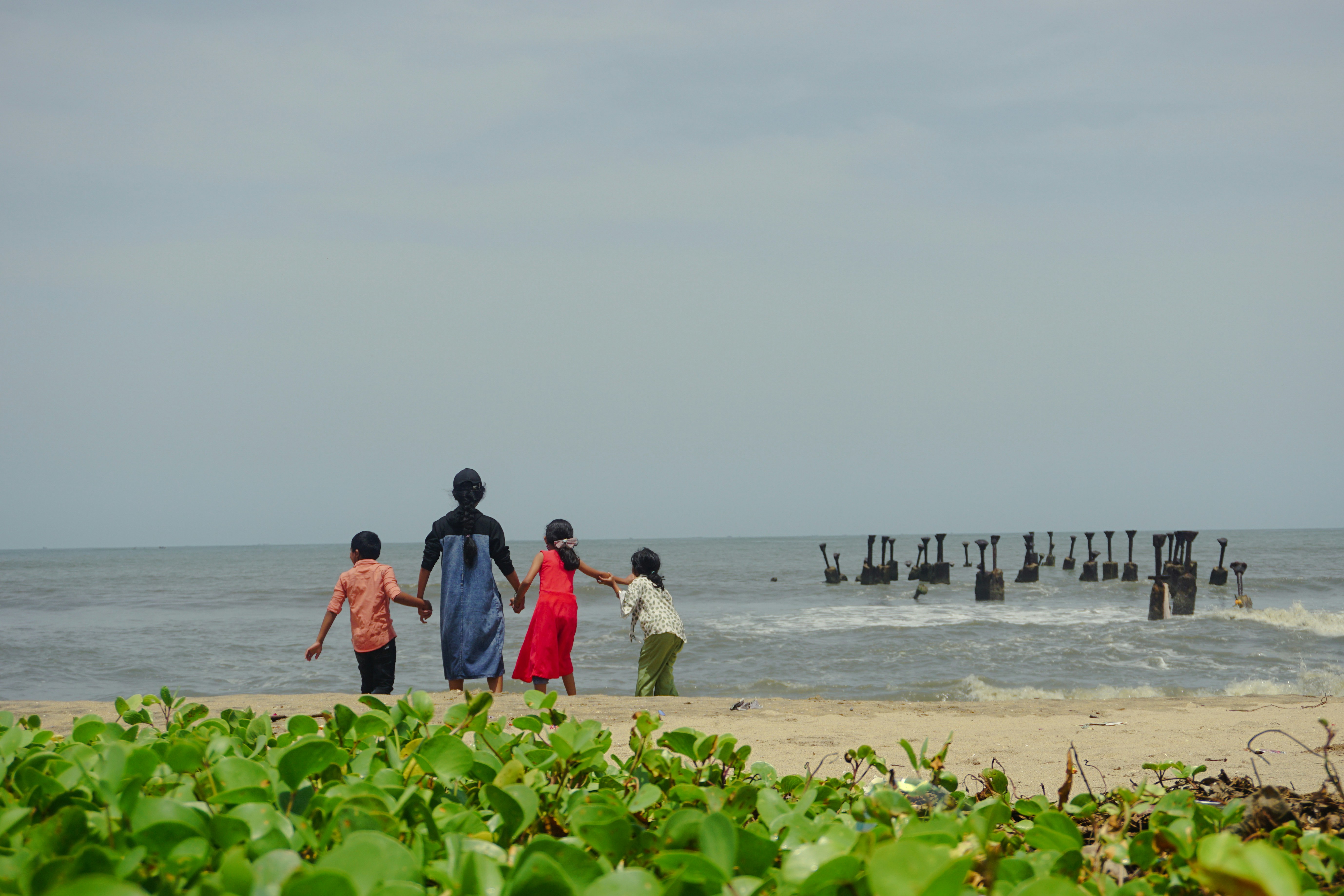 Calicut Beach Palm Trees 1