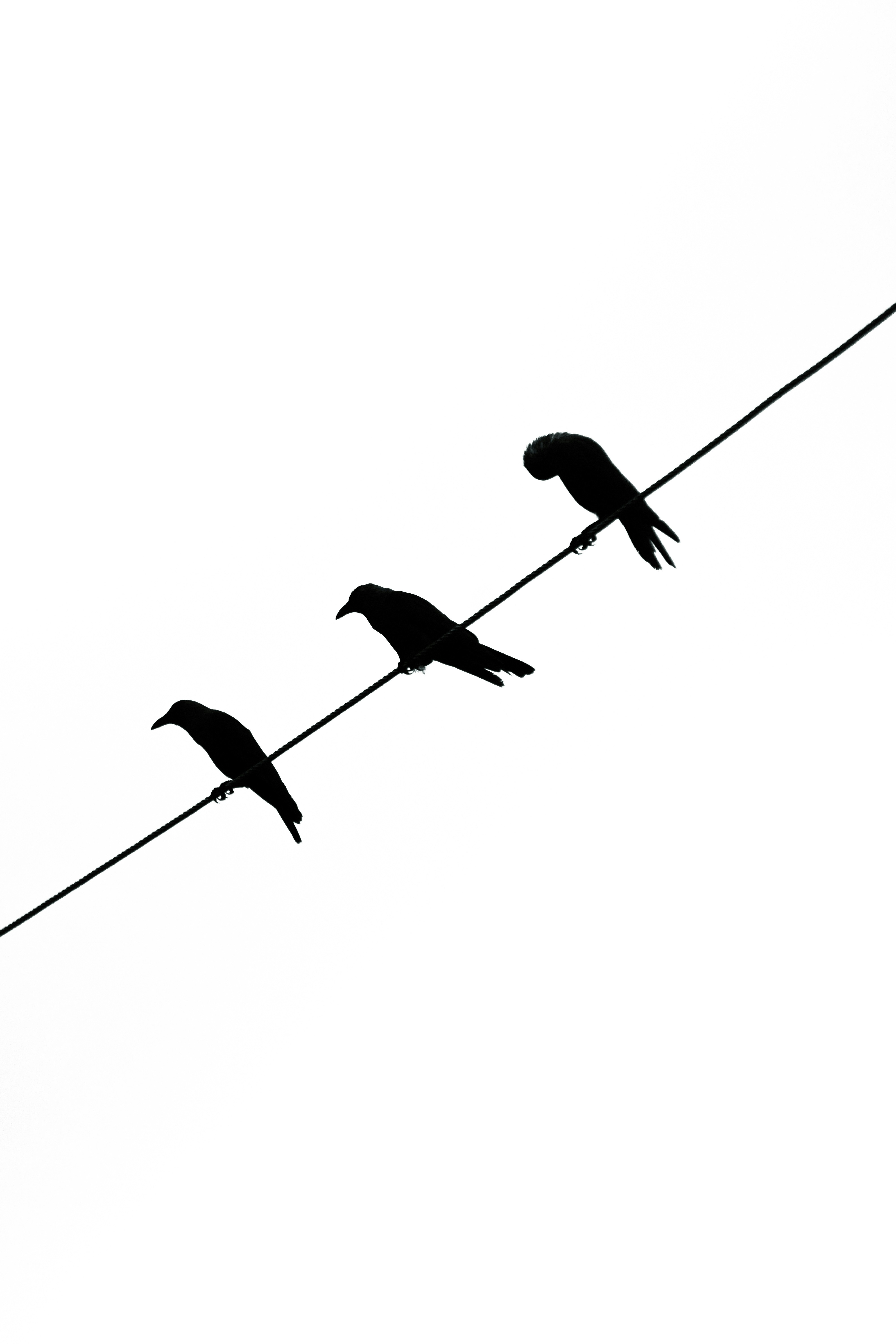 Photo by abubkrkp