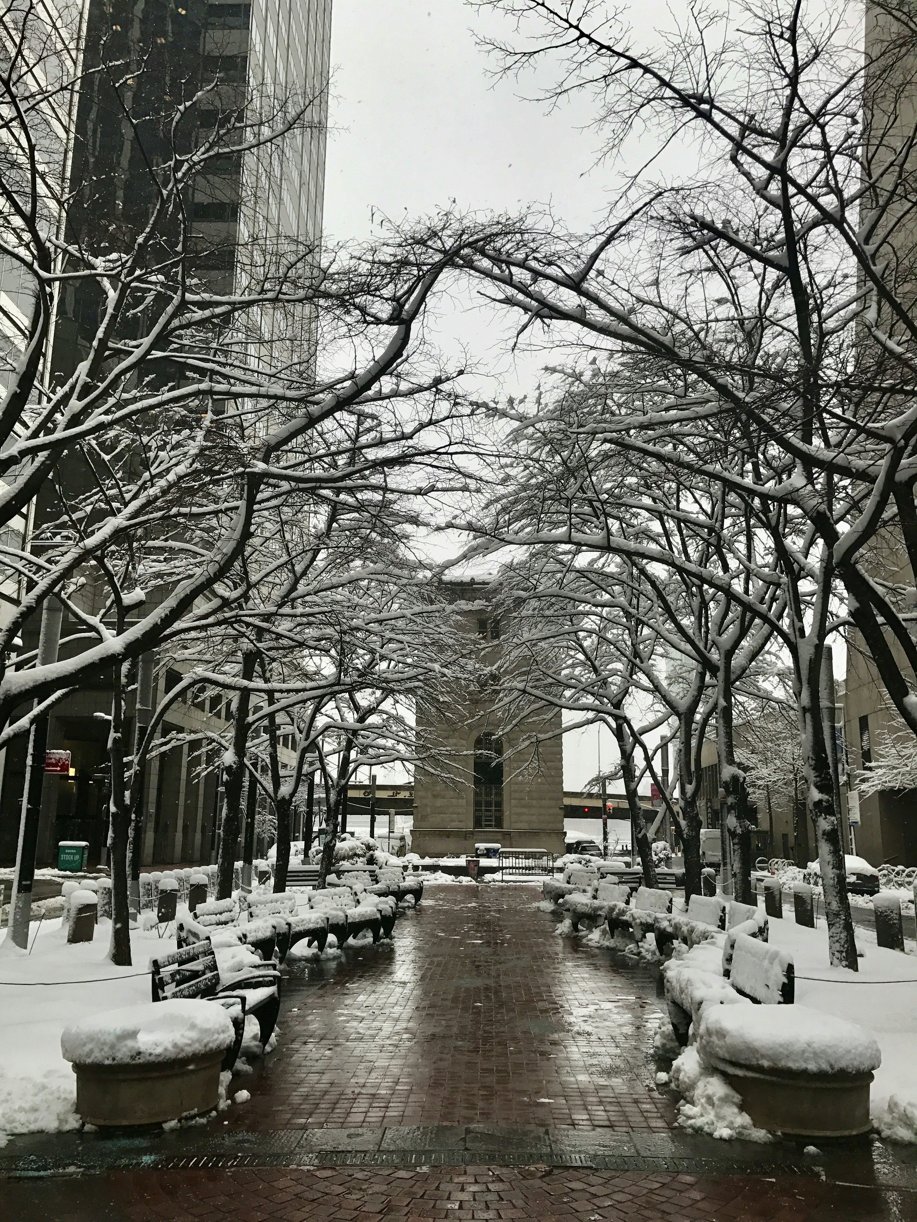 a wet street with snow on the ground and trees on the side