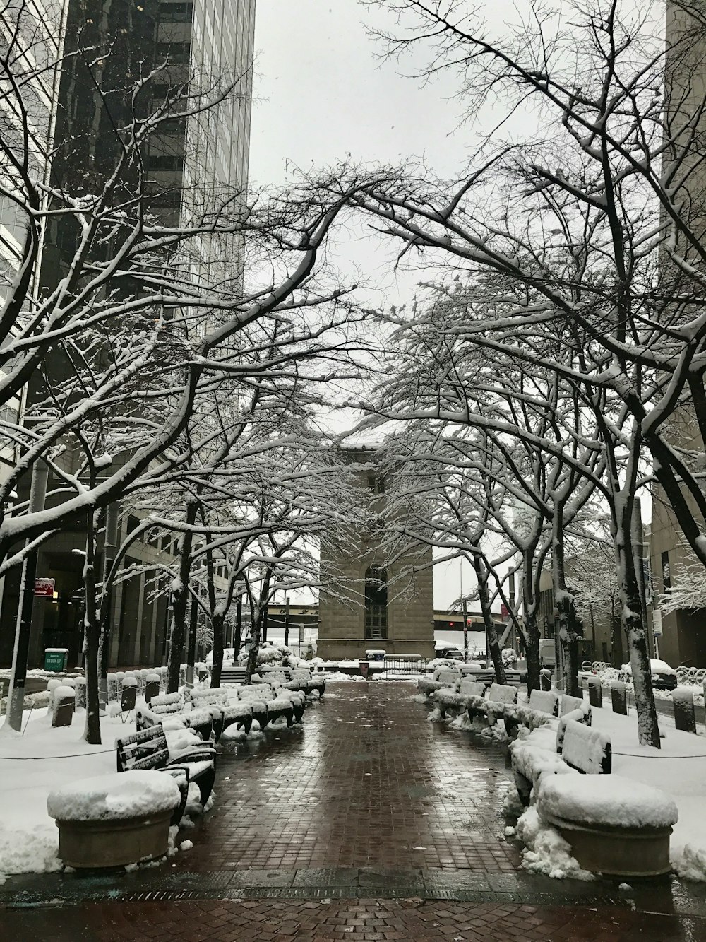 a wet street with snow on the ground and trees on the side