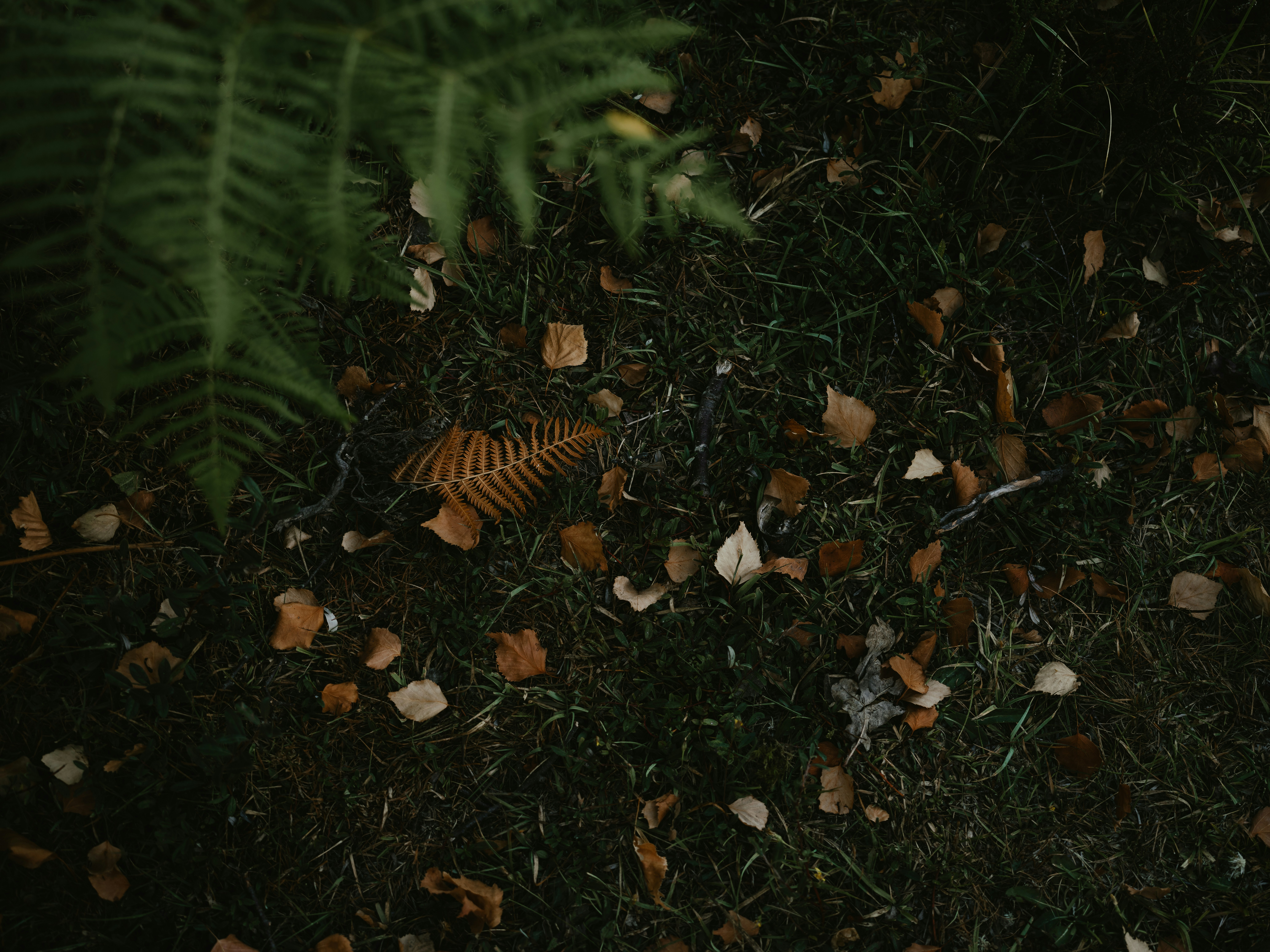 Photo by anniespratt