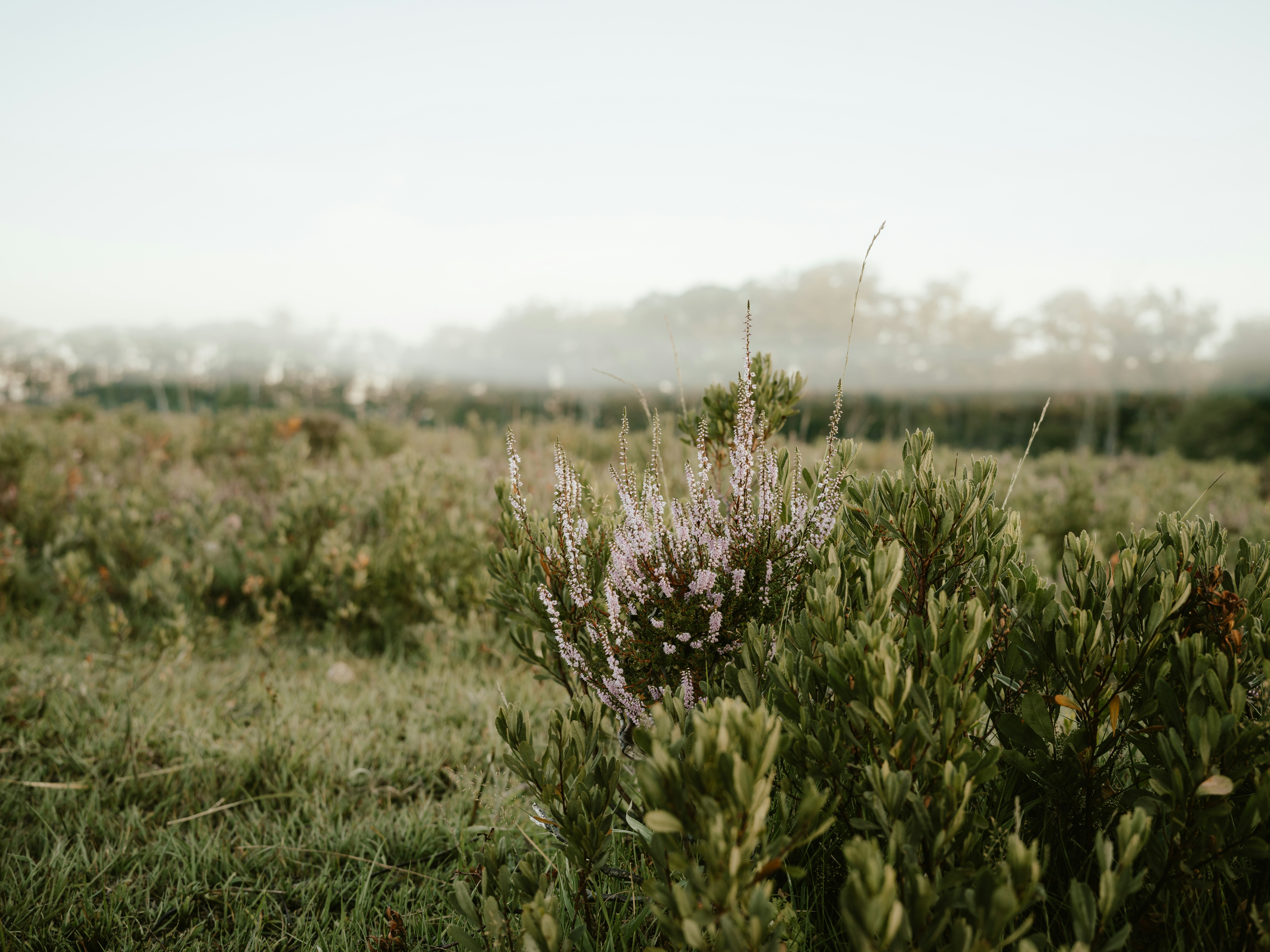 Photo by anniespratt