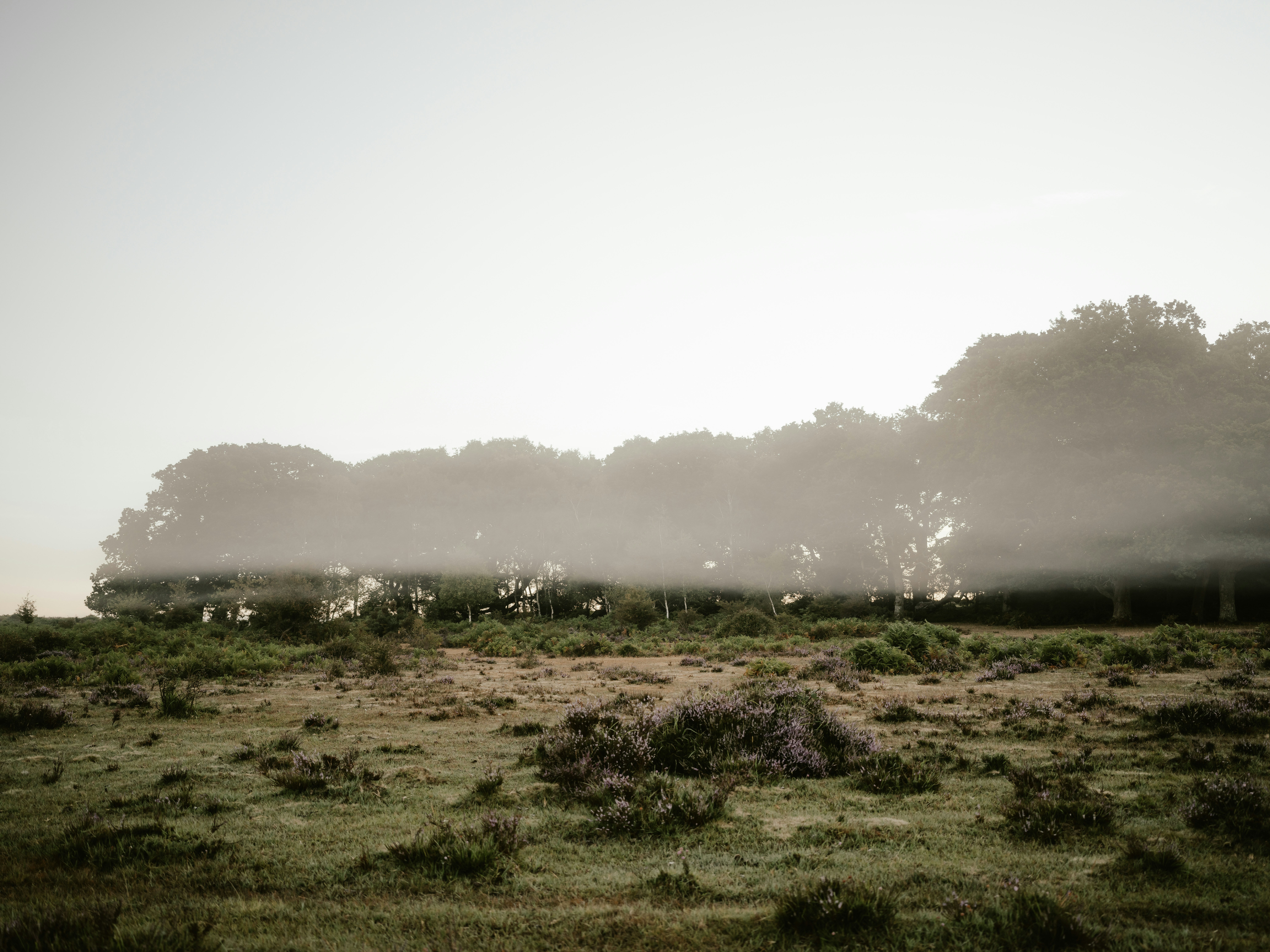 Photo by anniespratt