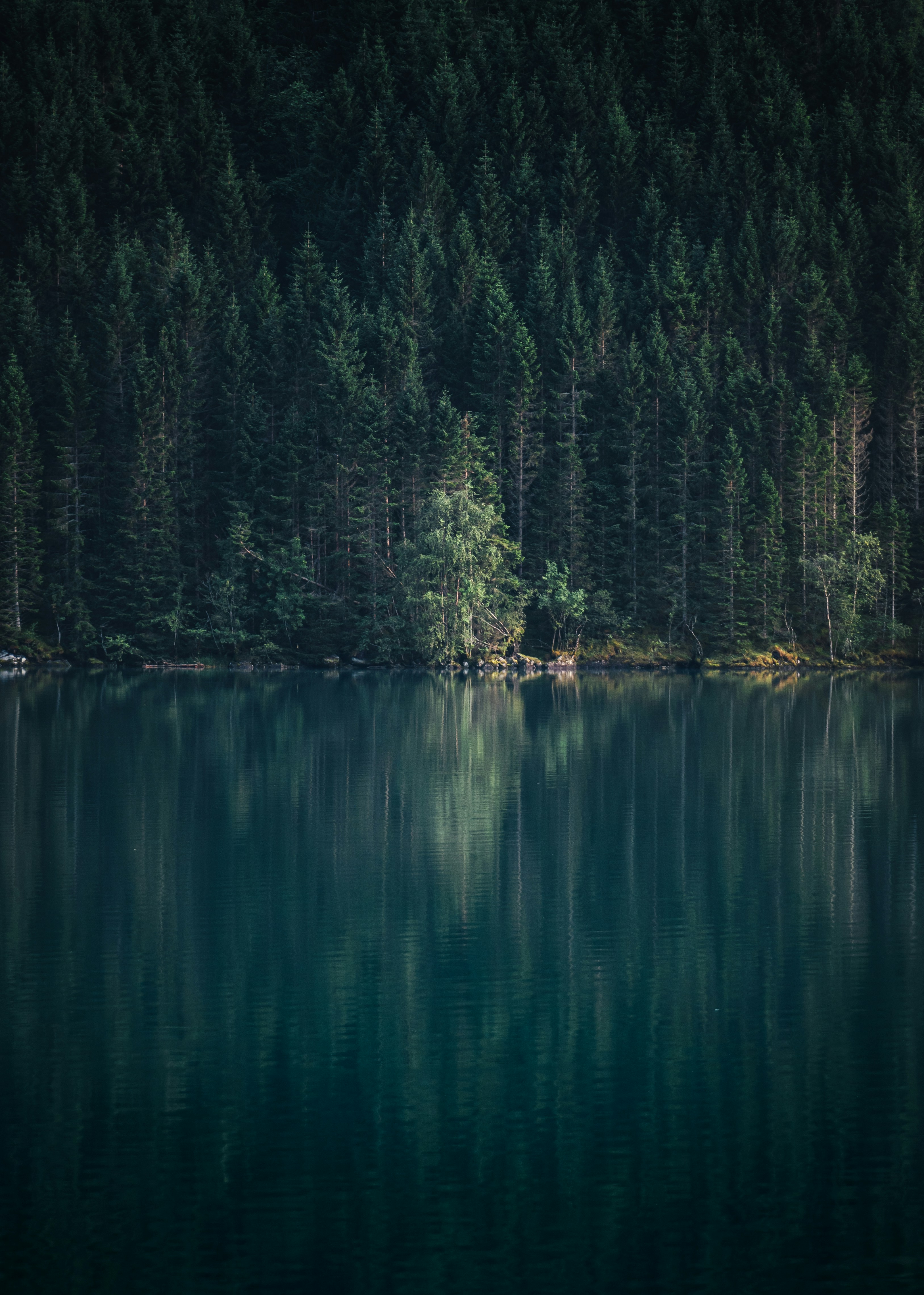 Photo by lachlangowen