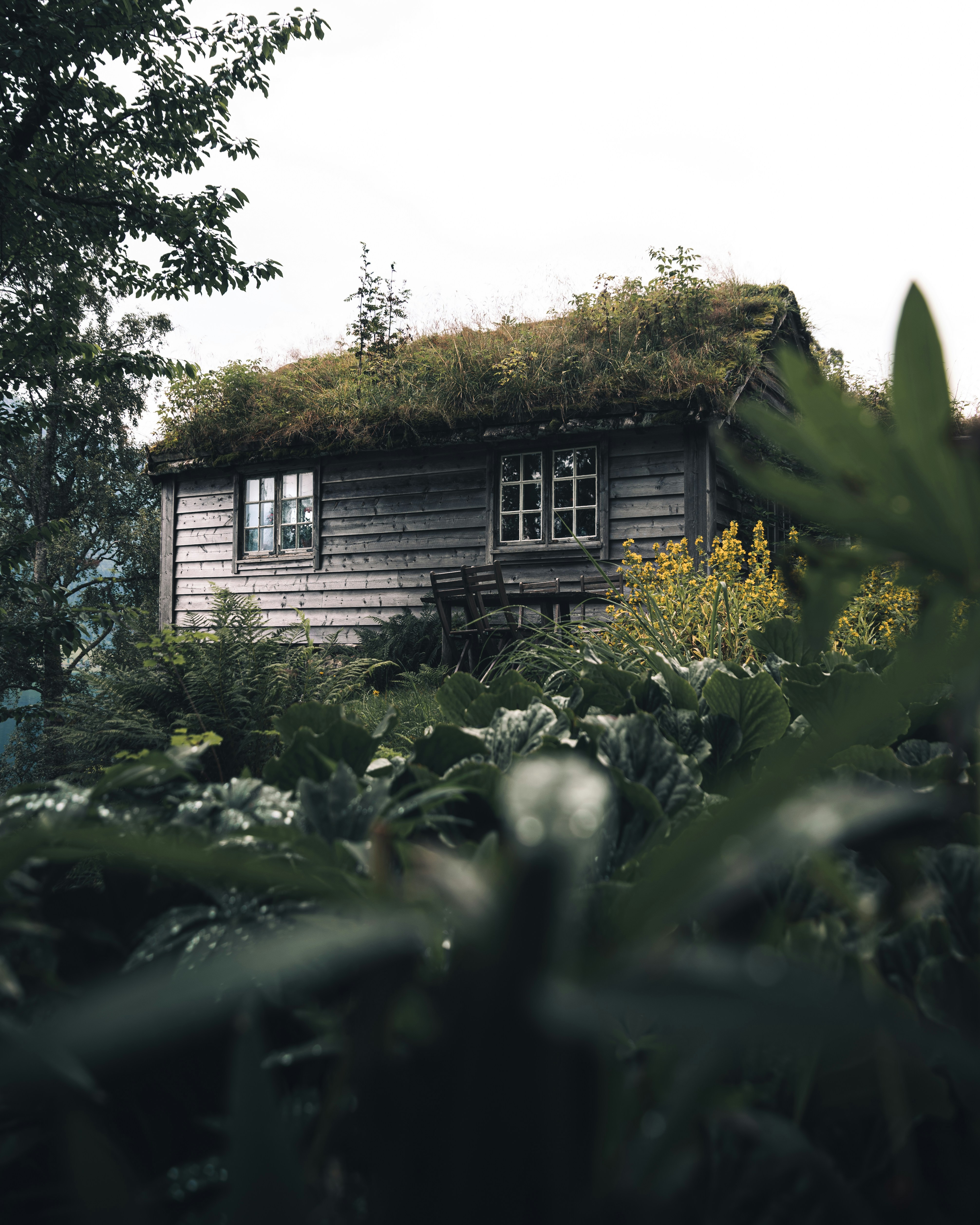 a house with plants around it