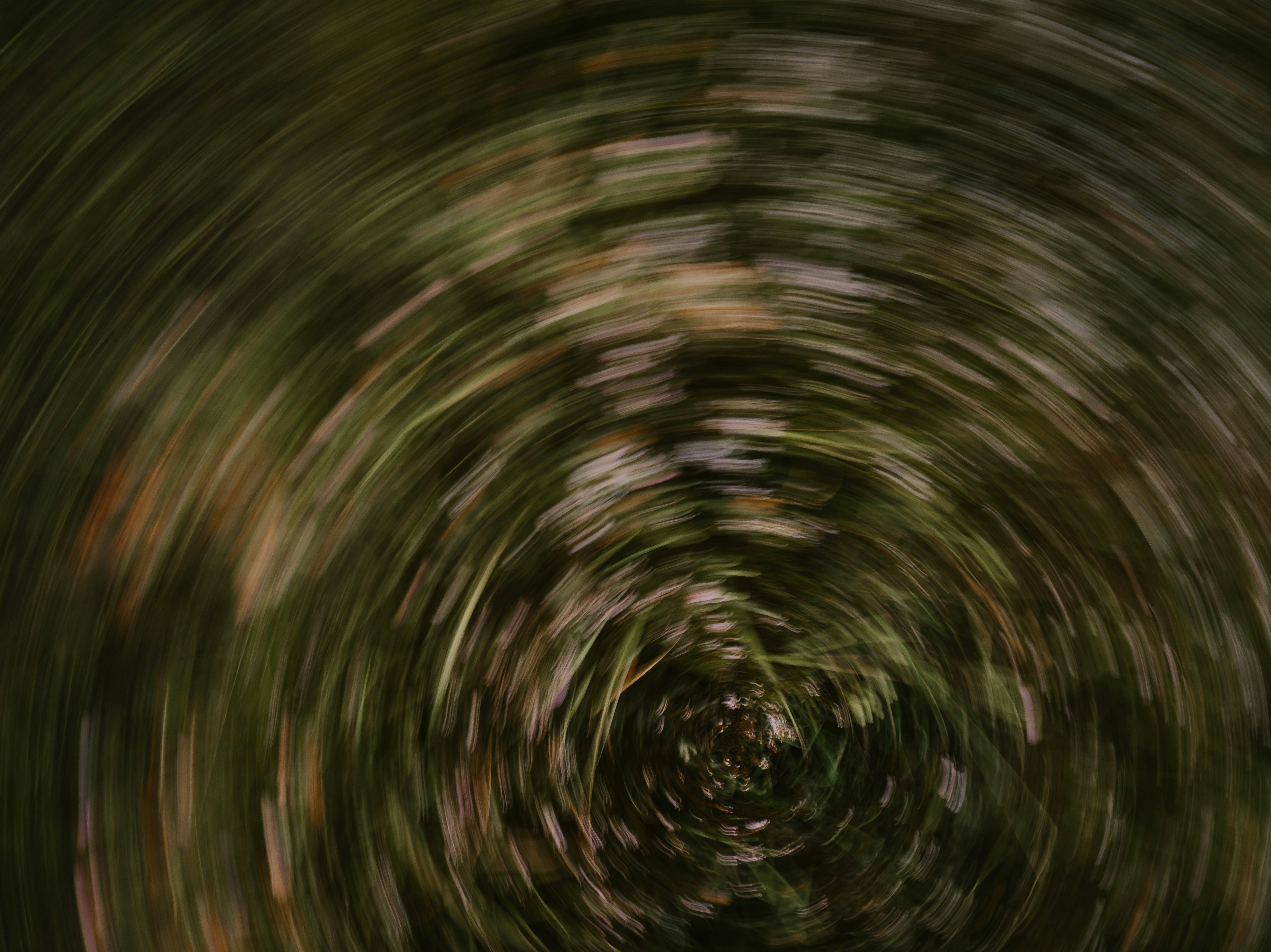 Photo by anniespratt