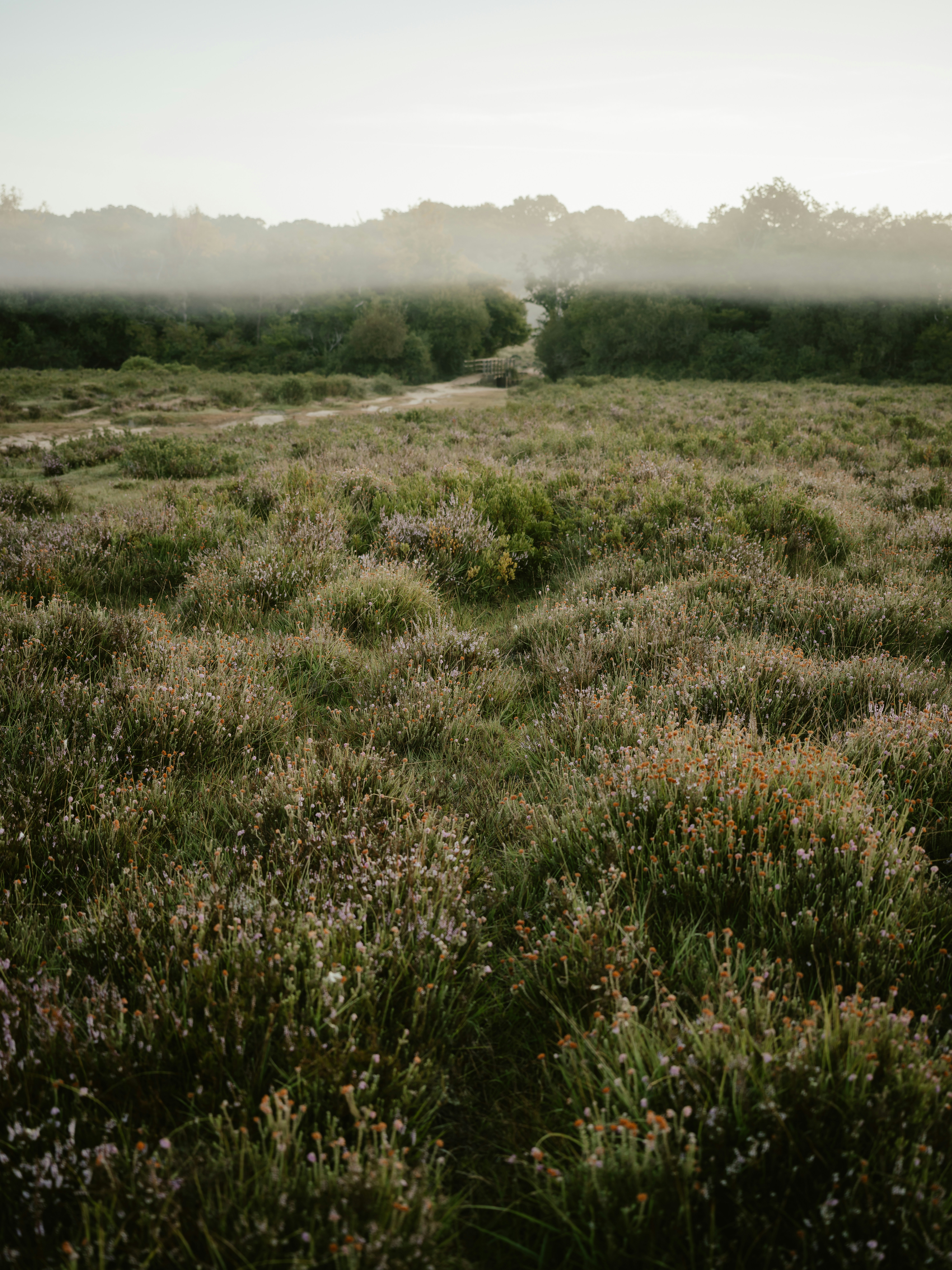 Photo by anniespratt