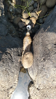 Photo of a found water bottle with a note attached for identification.