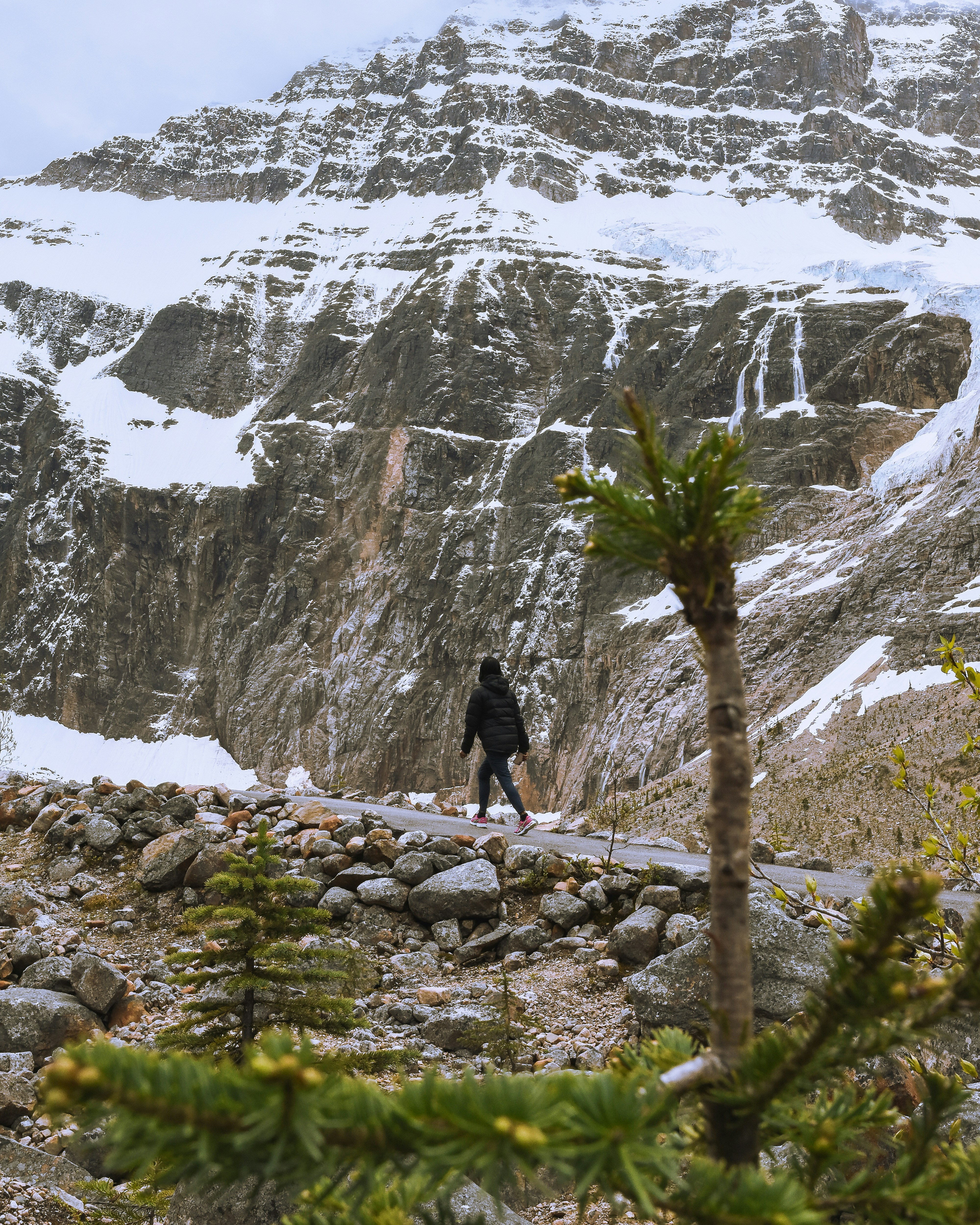 a person walking on a rocky path in front of a snowy mountain