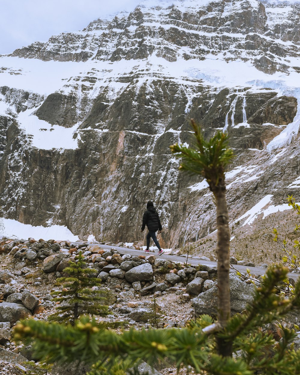 a person walking on a rocky path in front of a snowy mountain