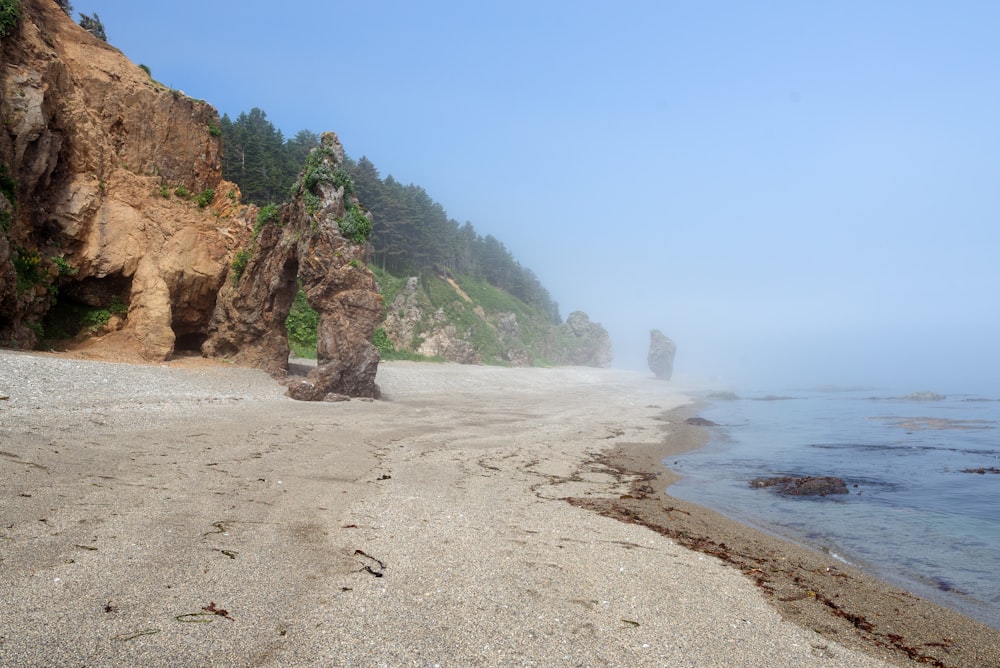 a sandy beach with a cliff and water with Calvert Cliffs State Park in the background