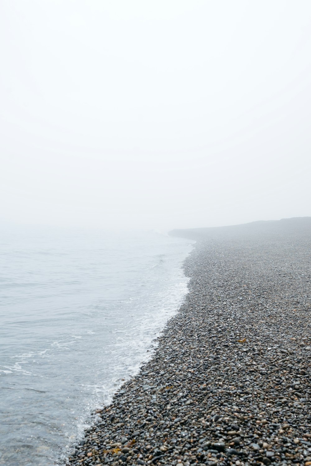 Una playa rocosa con niebla